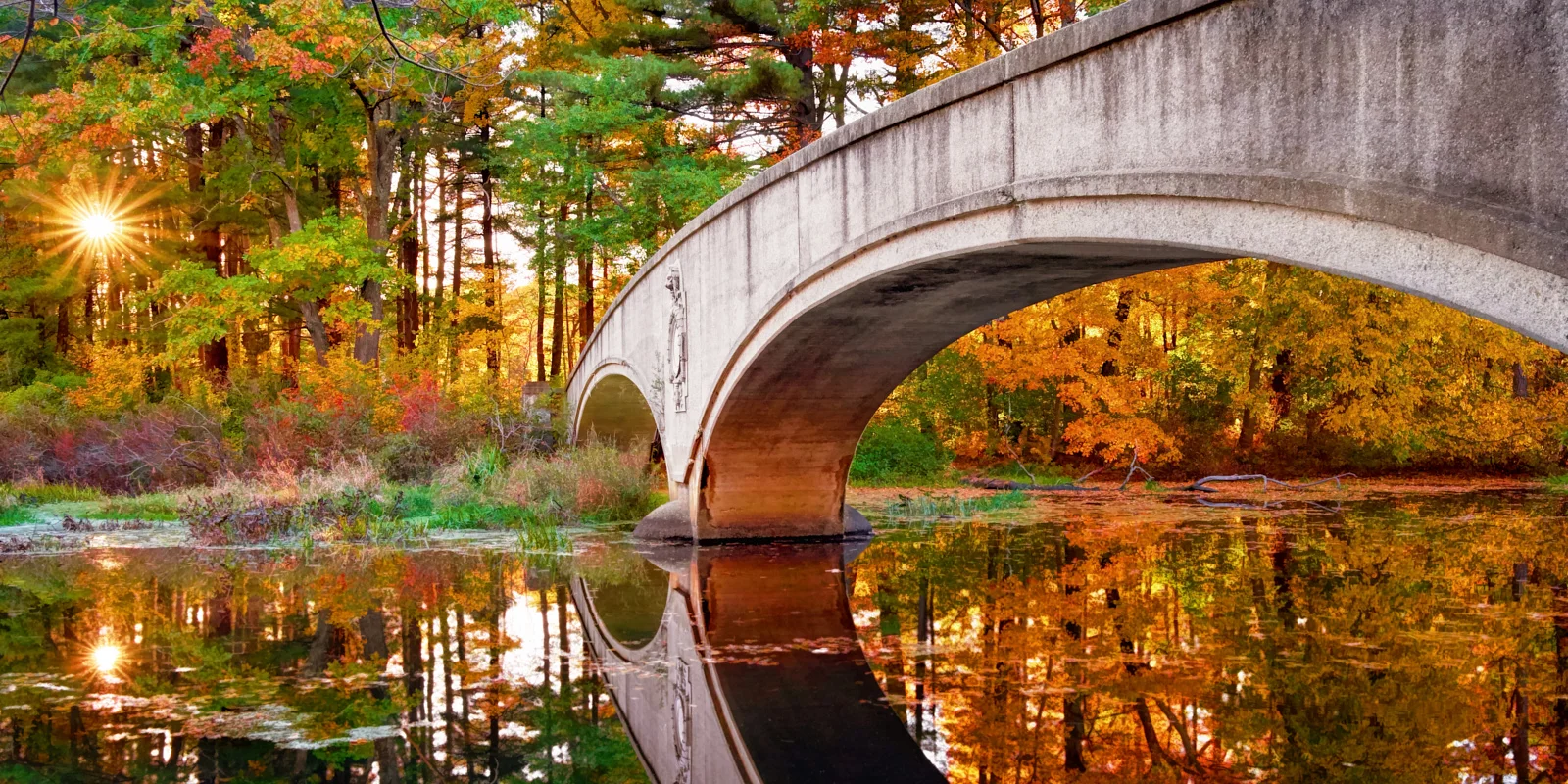 101916_Fall_335_1 blog.jpg