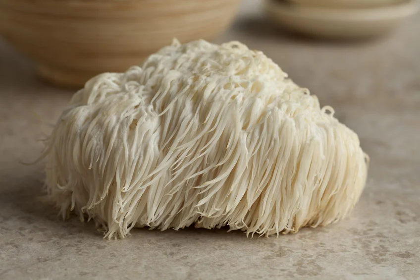 Mushrooms are the Future