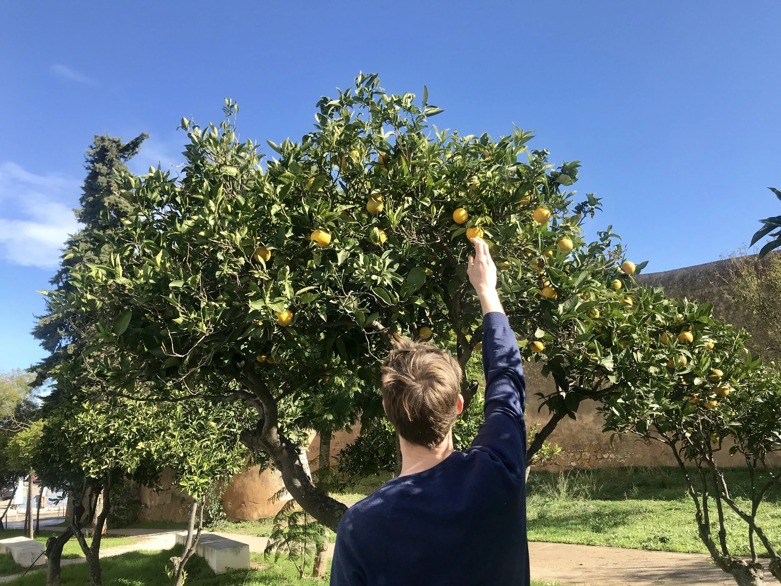 Food Lovers Guide: Algarve