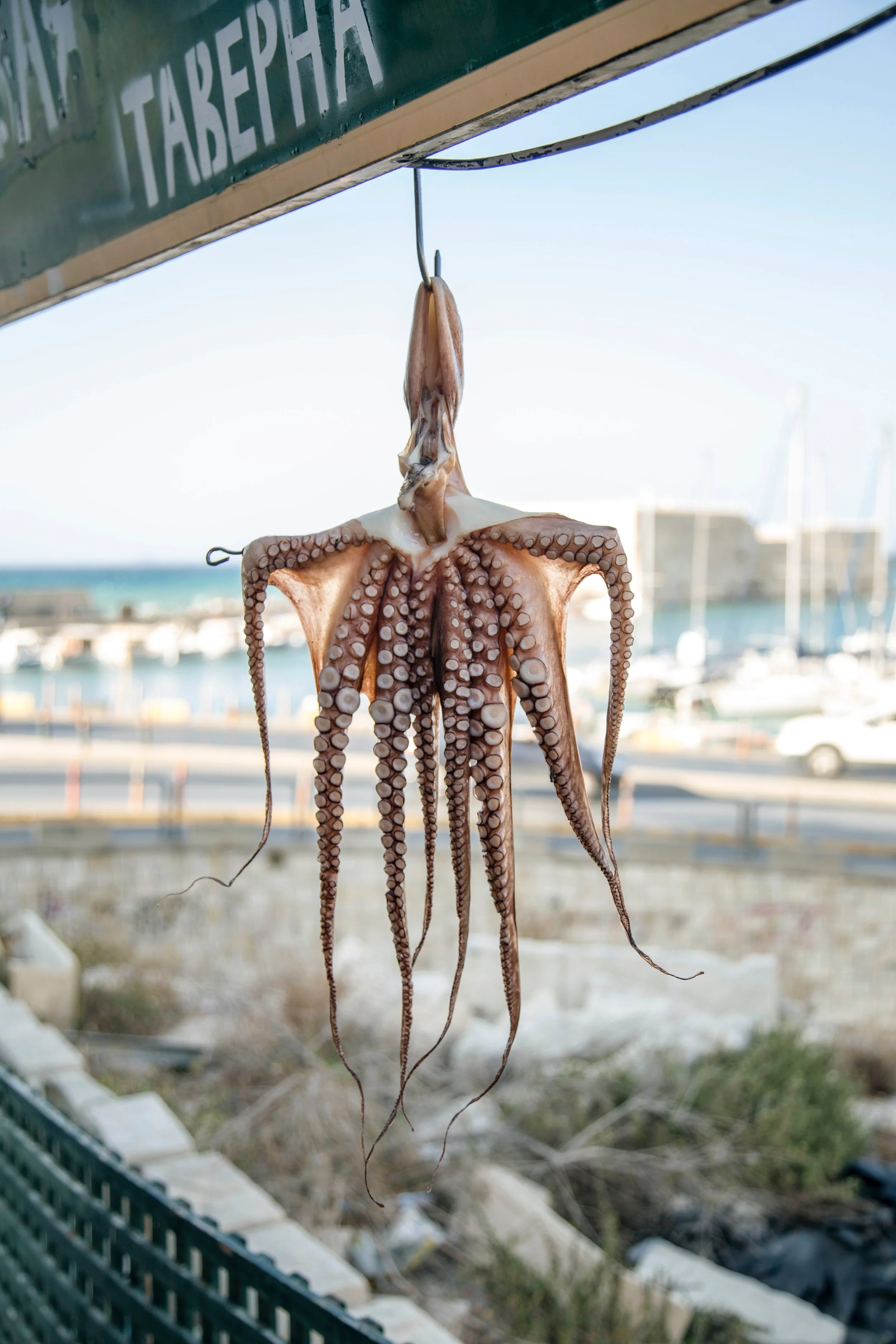Biggest Takeaways from Corfu