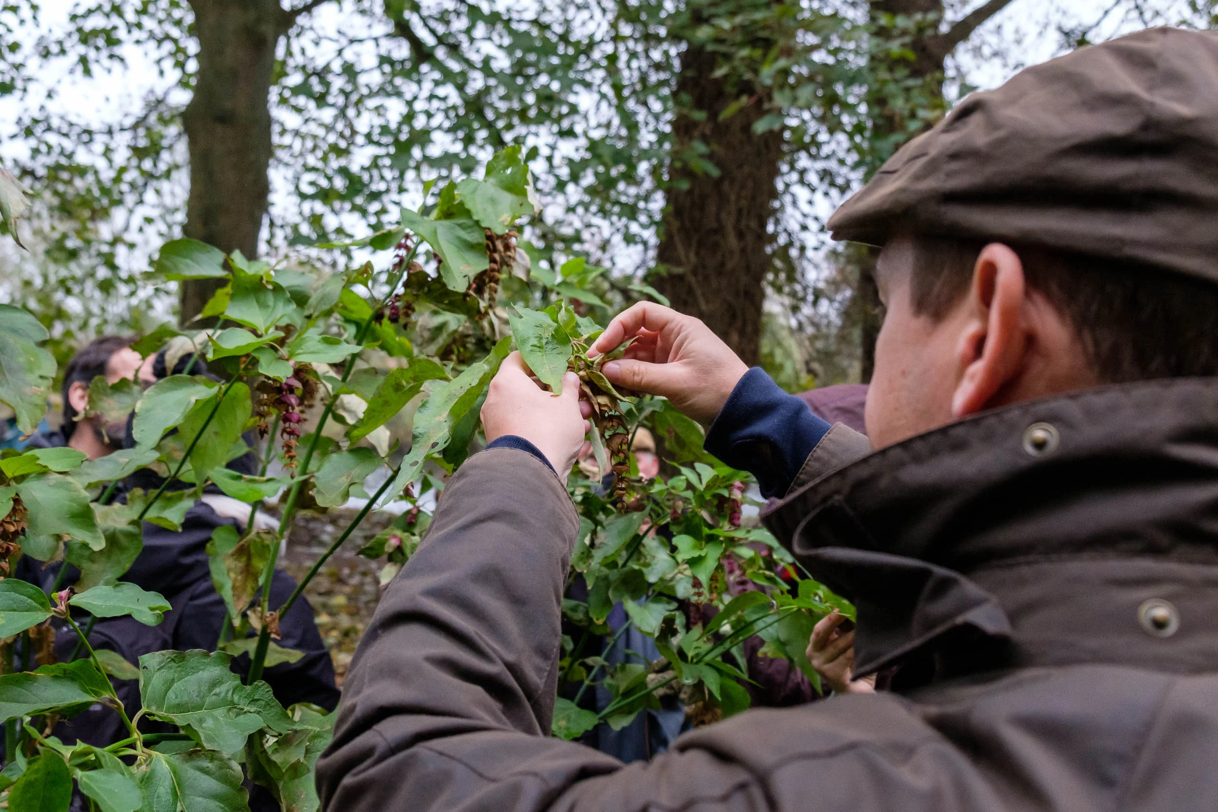 Autumn-Foraging_94_web.jpg