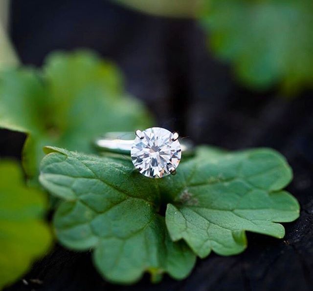 One lucky girl-- @land_kate &quot;A rock to represent MY rock @americanlawntree. I love you so much &amp; I cannot WAIT to be your wife&quot;
📷@wearejdphoto