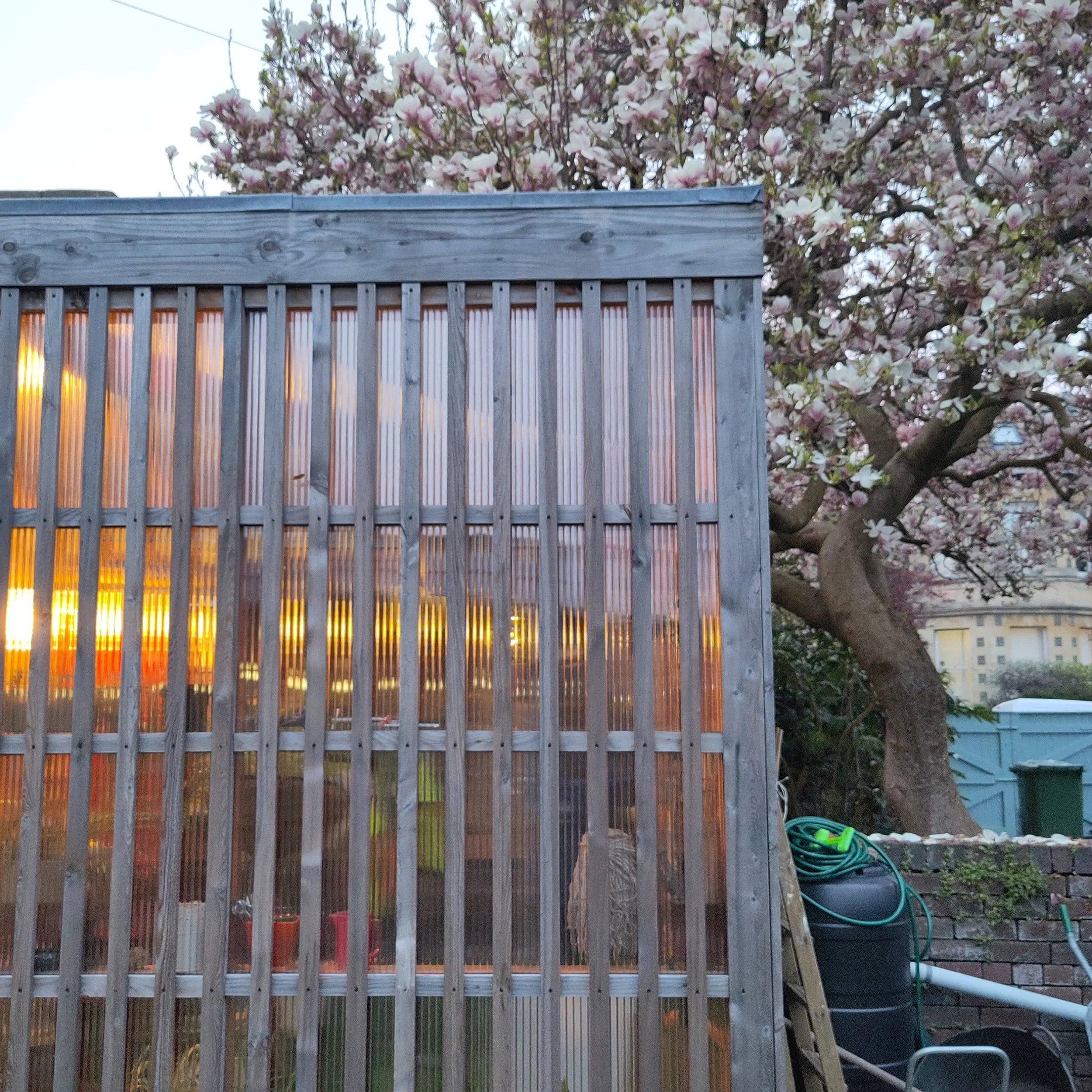 2026-03-22 18.28.11.jpg