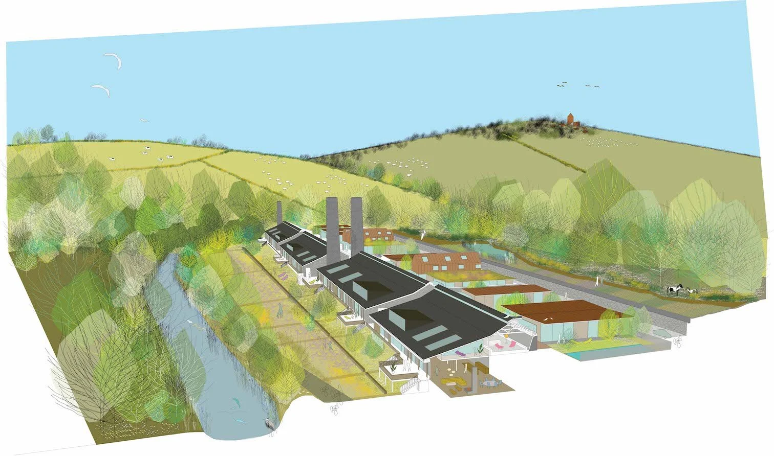 wenford dries illustration1 copy.jpg