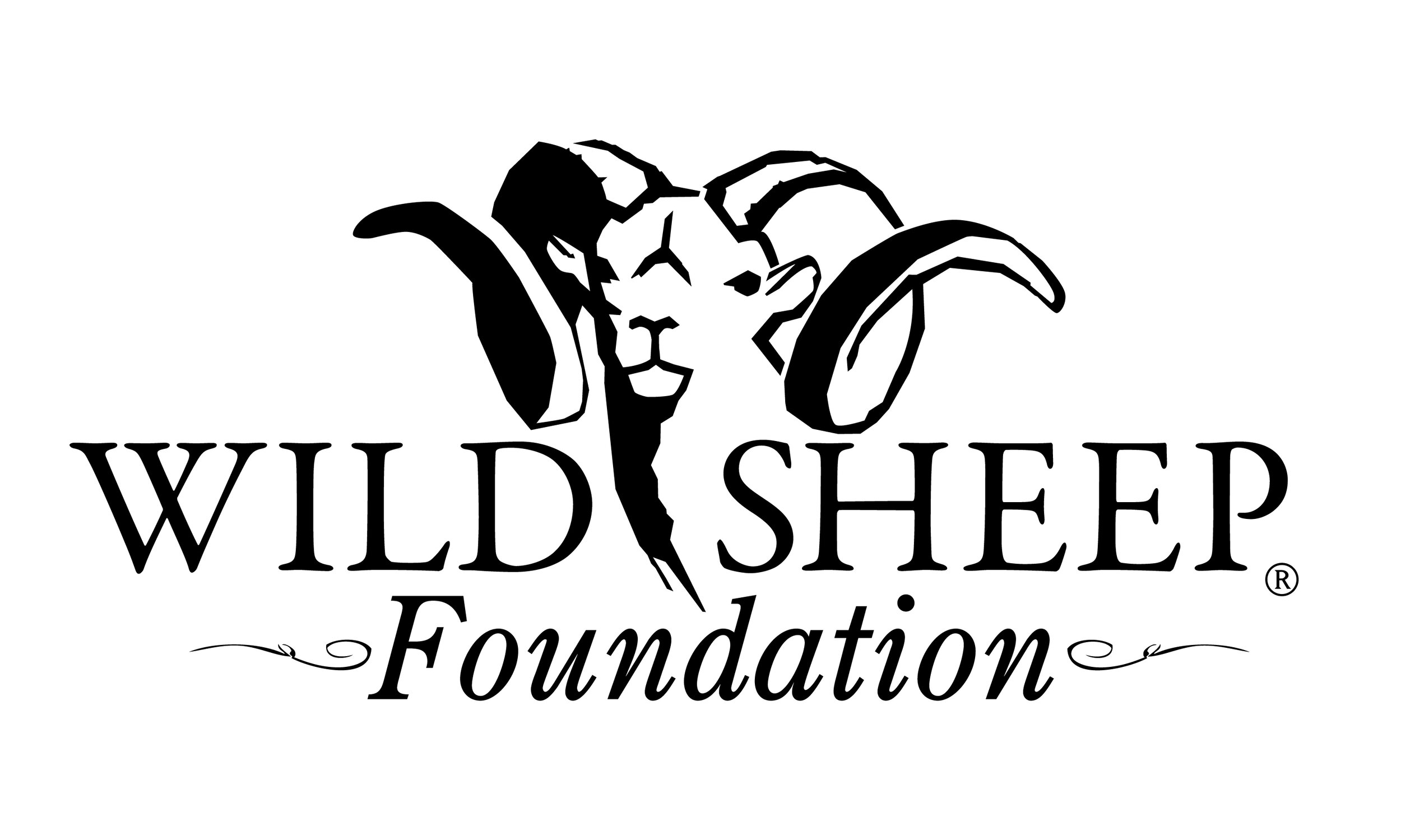 Wild Sheep Foundation