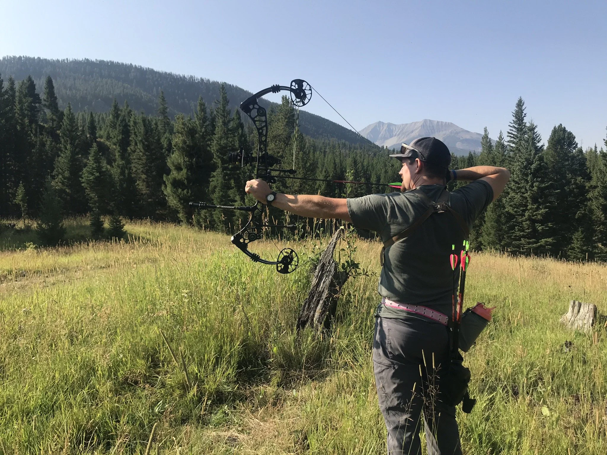Open Archery Day - 3D Course 
