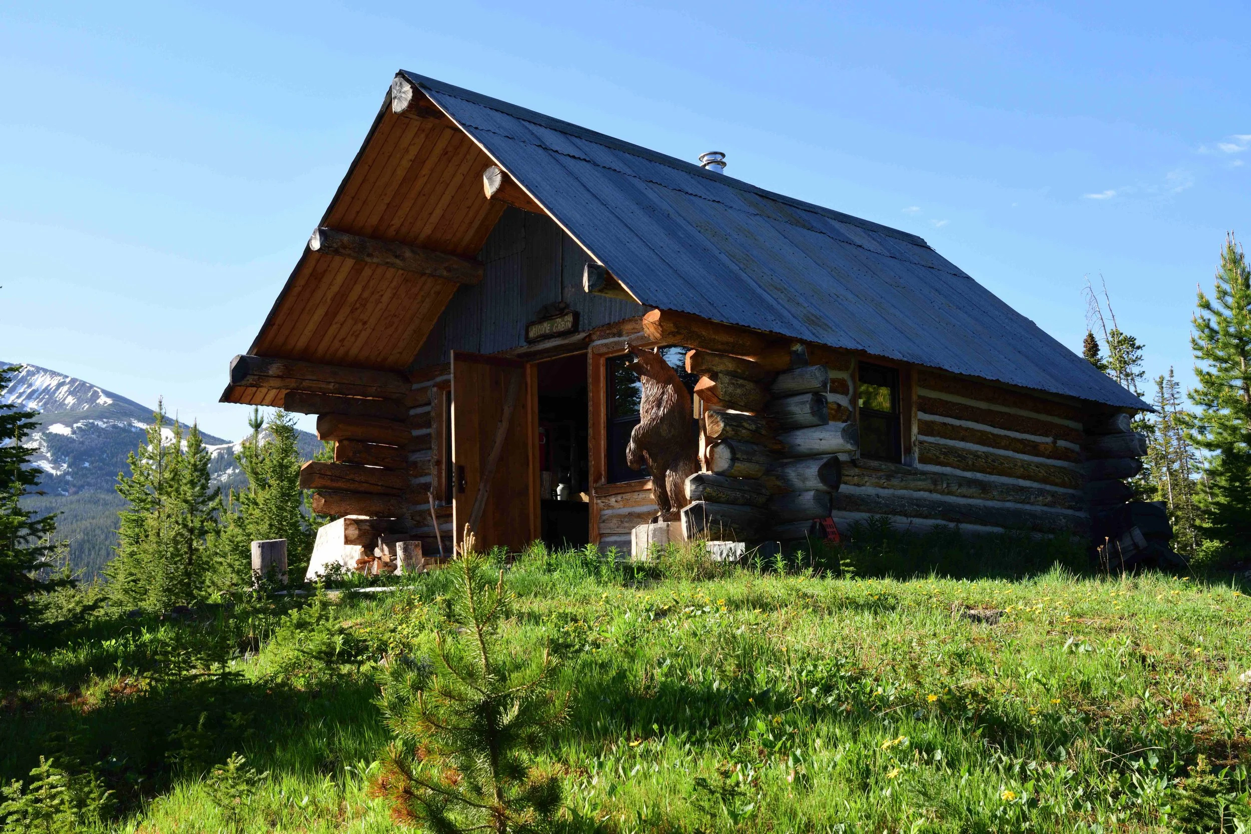bear cabin 5.jpg