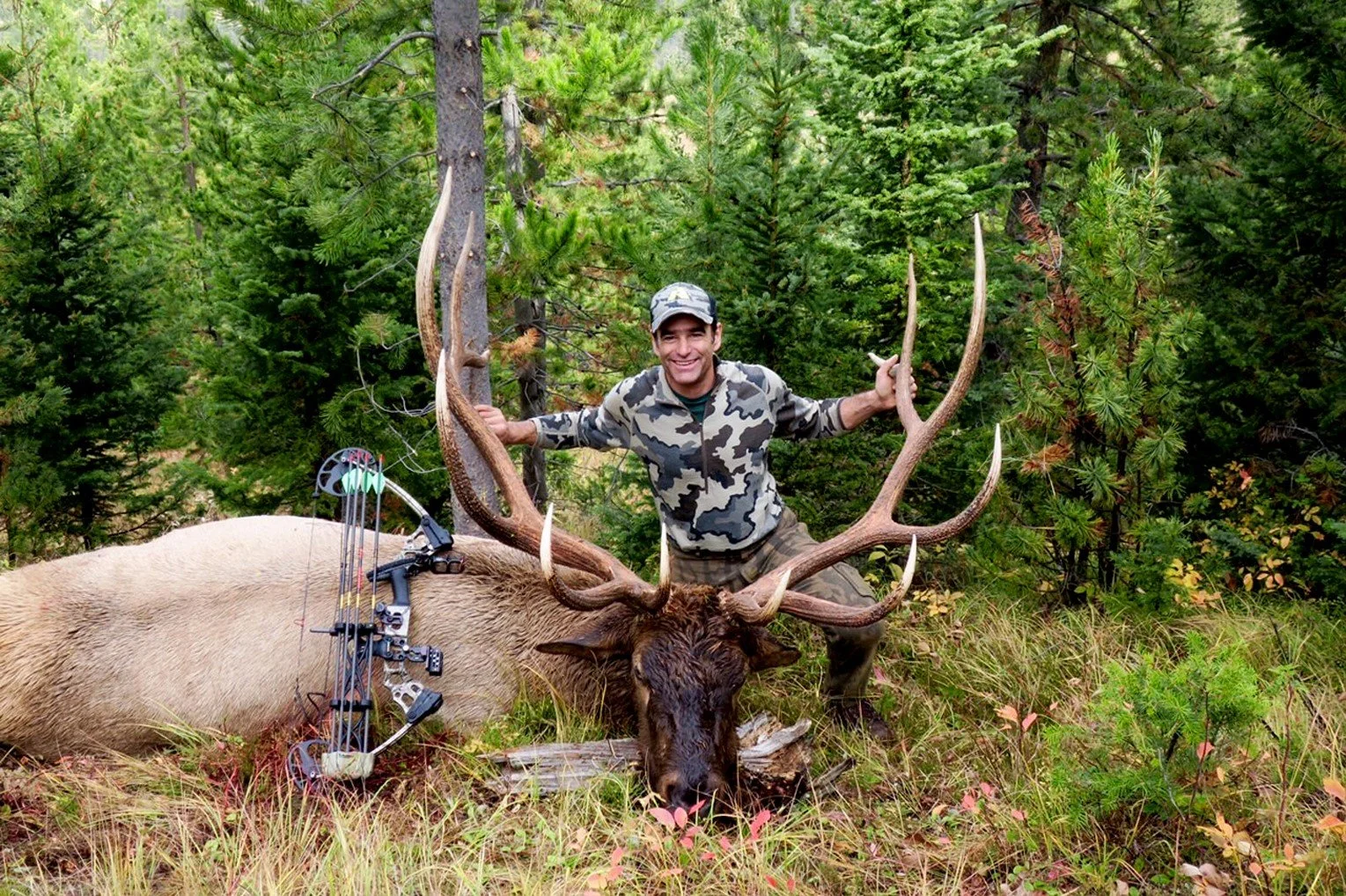 Pauls Bull Oct 2016 REV.JPG