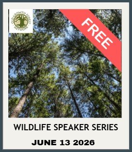 Screenshot 2026-01-13 132814.jpg