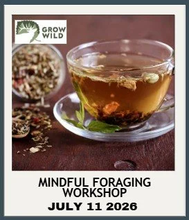 Screenshot 2026-01-13 132843.jpg