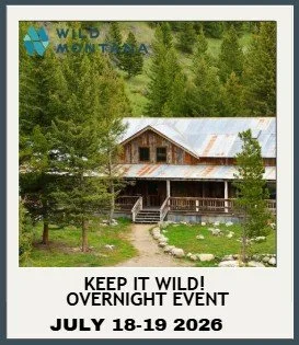 Screenshot 2026-01-13 132857.jpg