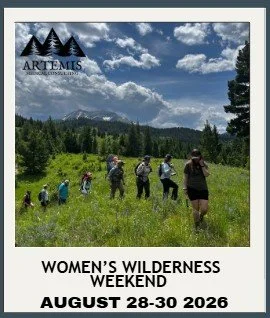 Screenshot 2026-01-13 132922.jpg