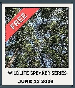 Wildlife Speaker Series: Old Growth Forests