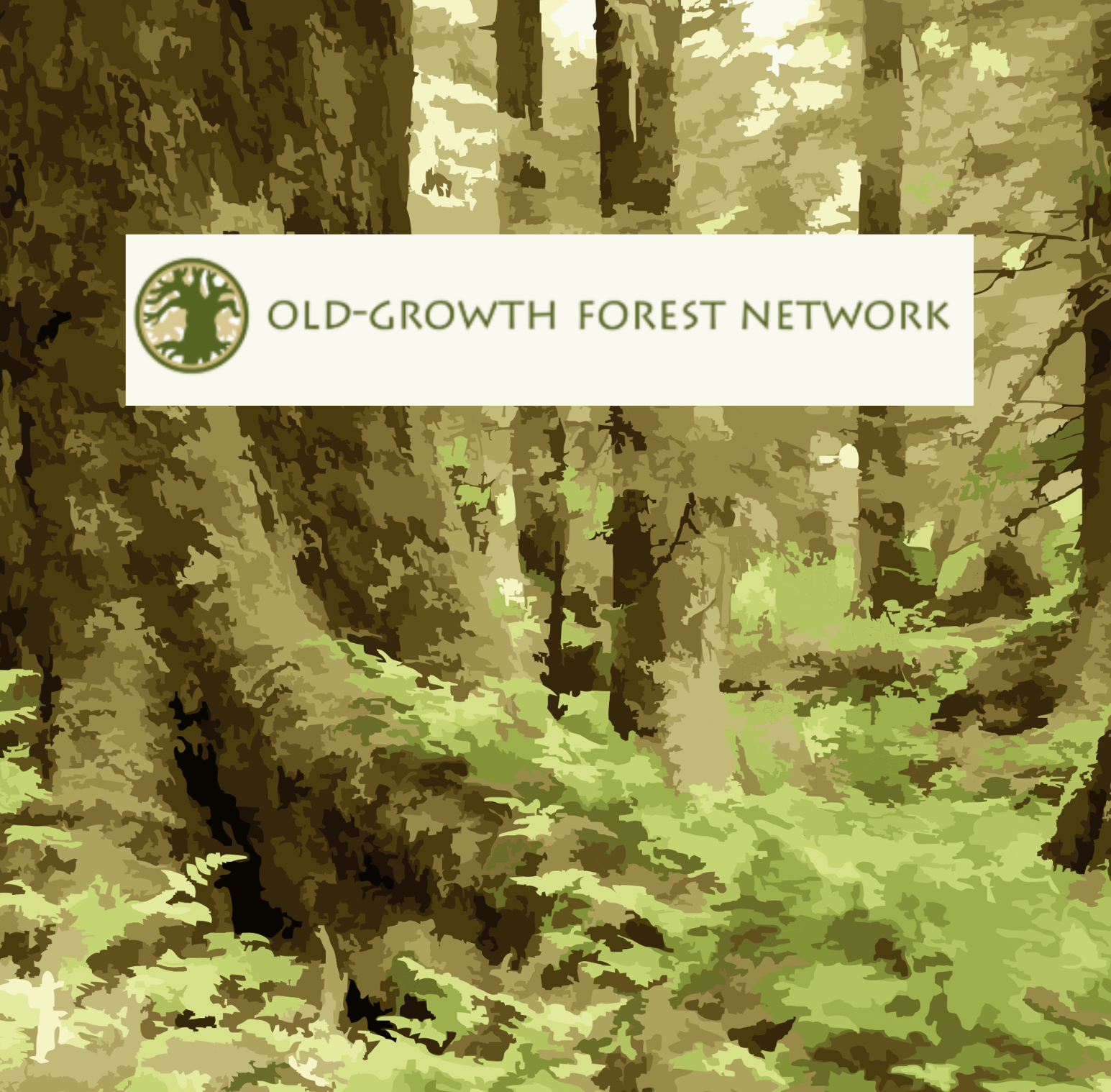 Forest Dedication and Celebration