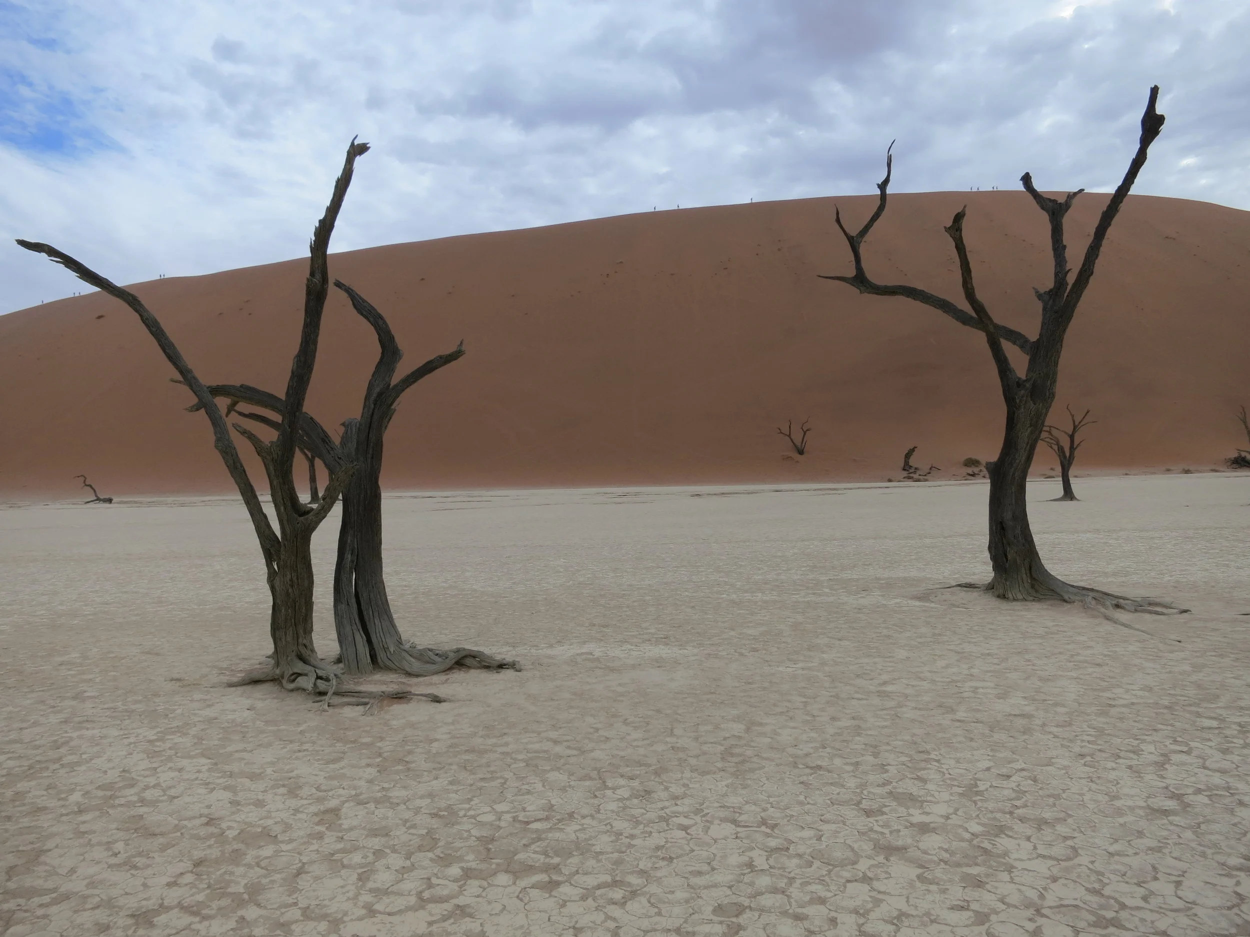 Deadvlei, Namibia