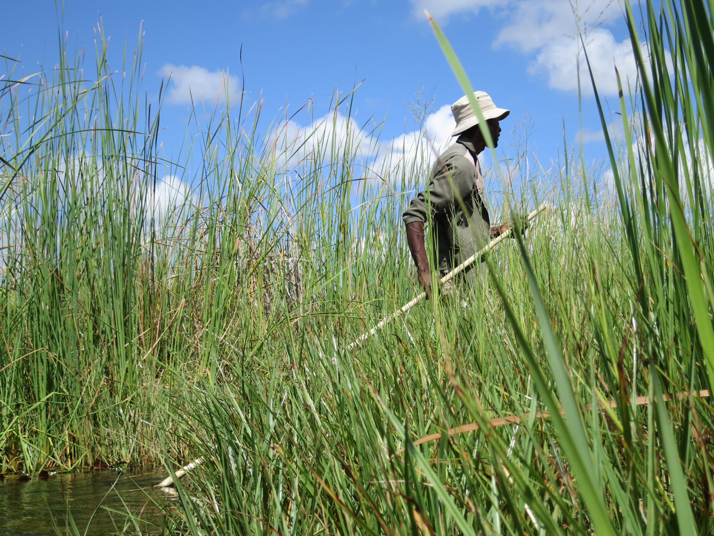 Traditional Mokoro Boatsman - Okavango Delta, Botswana