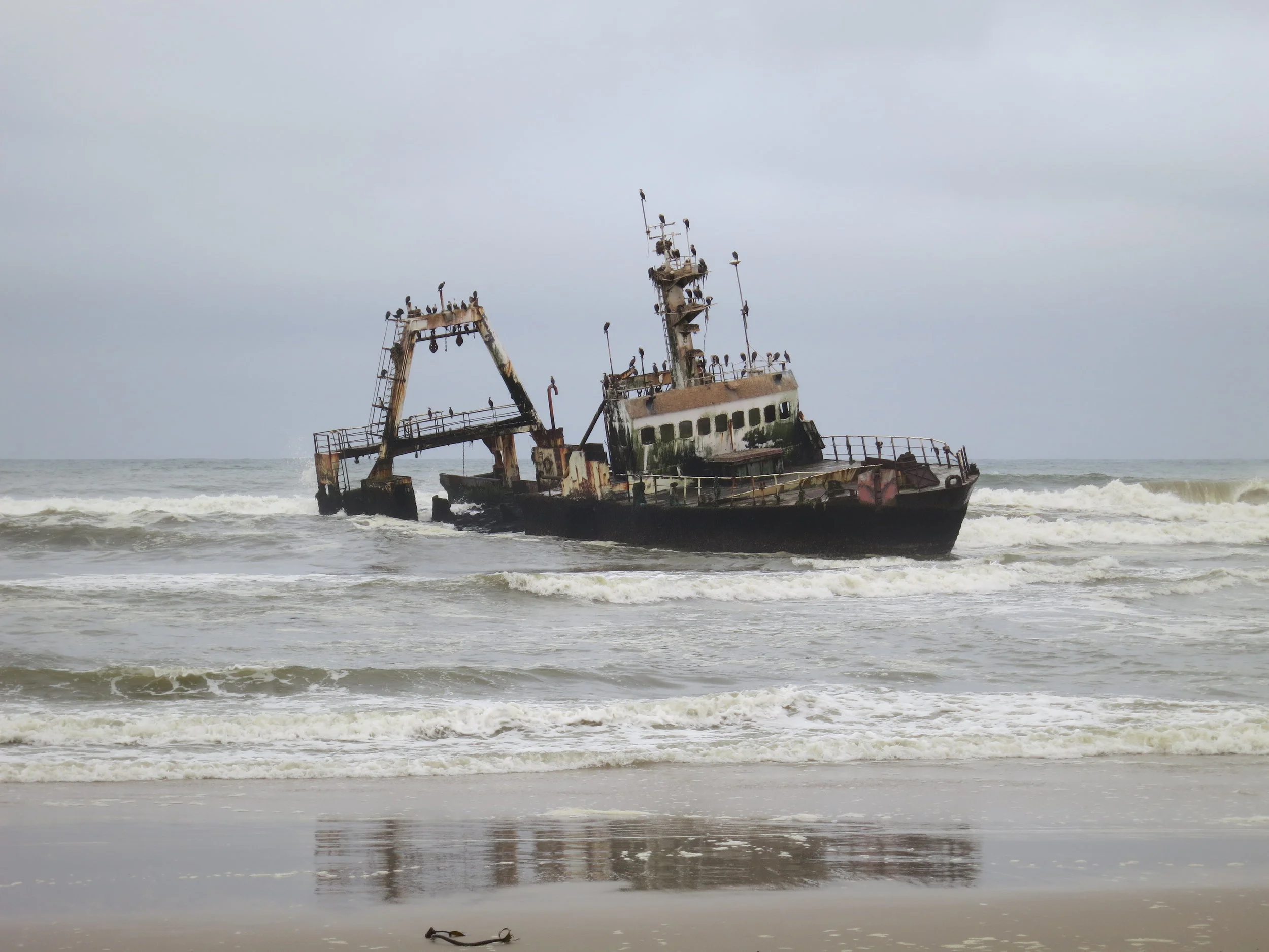 Recent shipwreck - Skeleton Coast, Namibia
