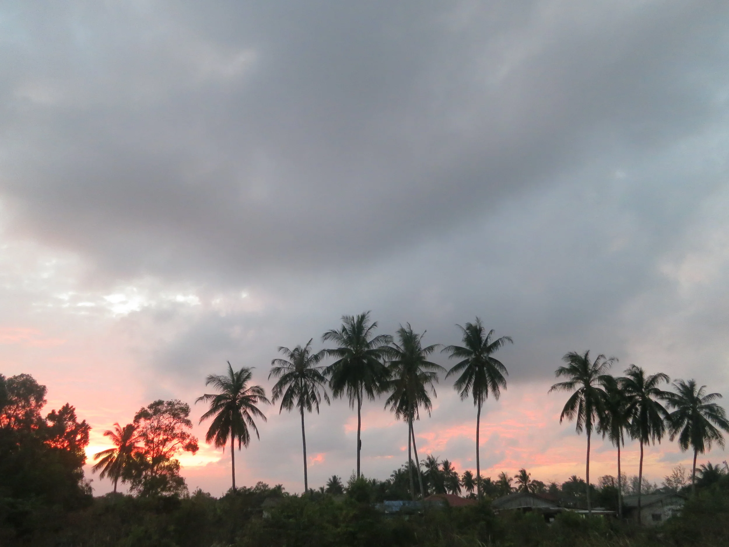 Length Changes to Apply Texas