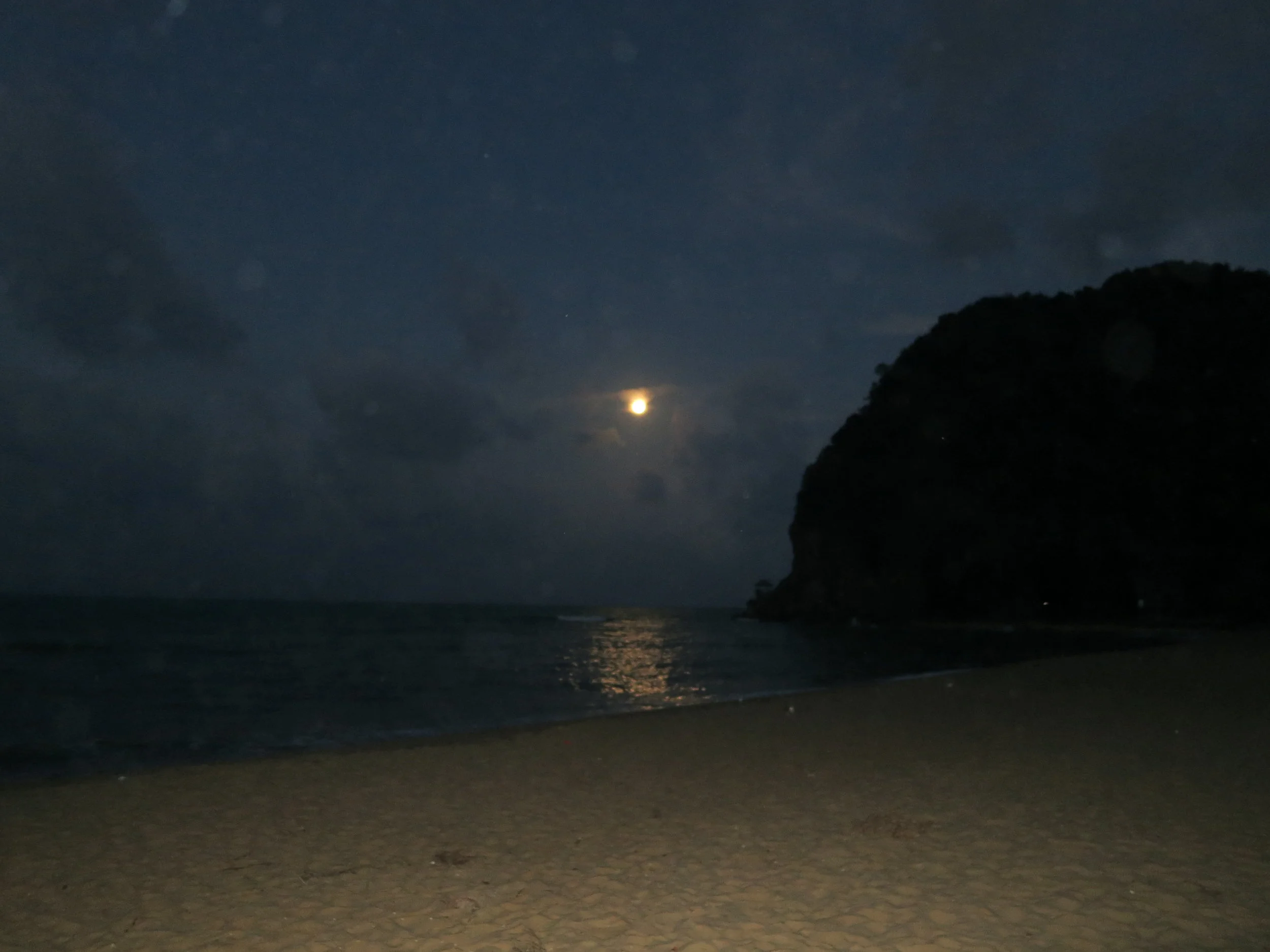 UT Honors - How do they decide?