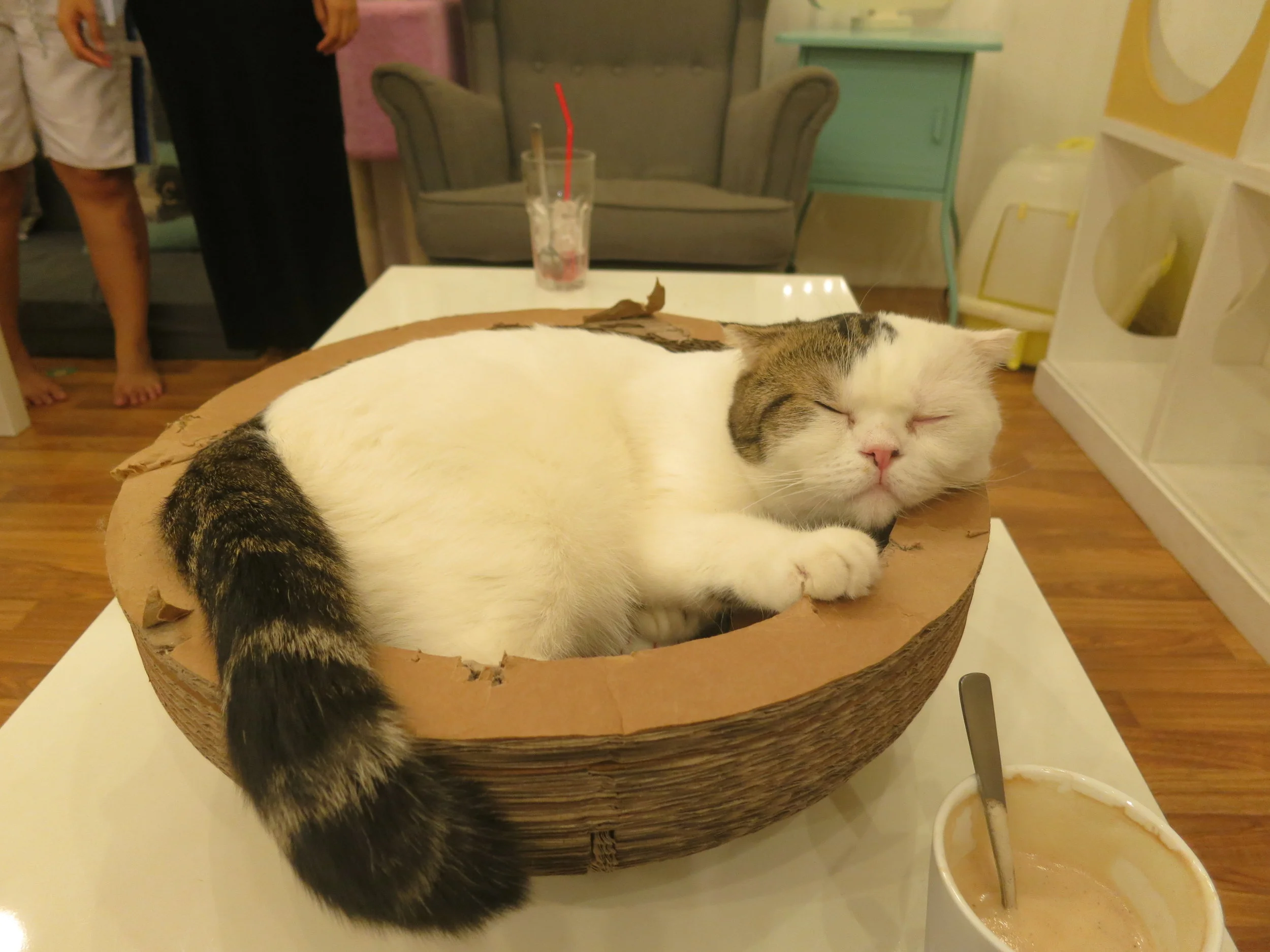 How do recommendation letters work?