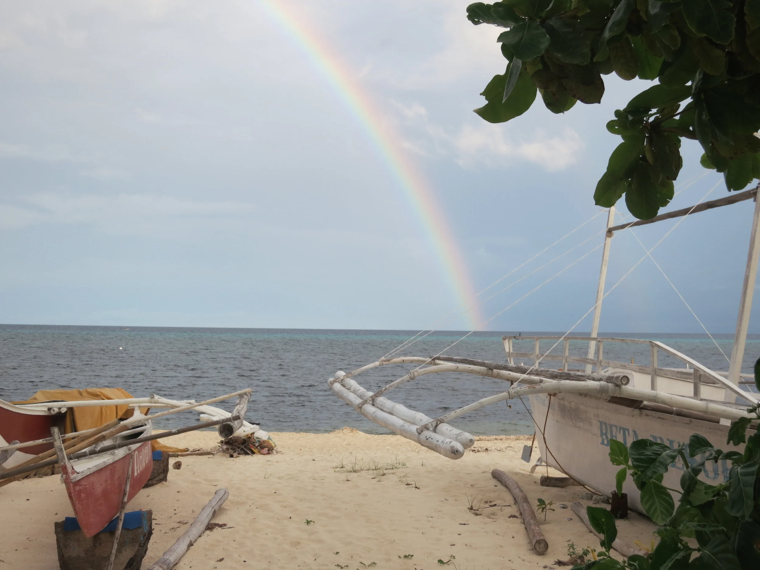 Major changes and admissions