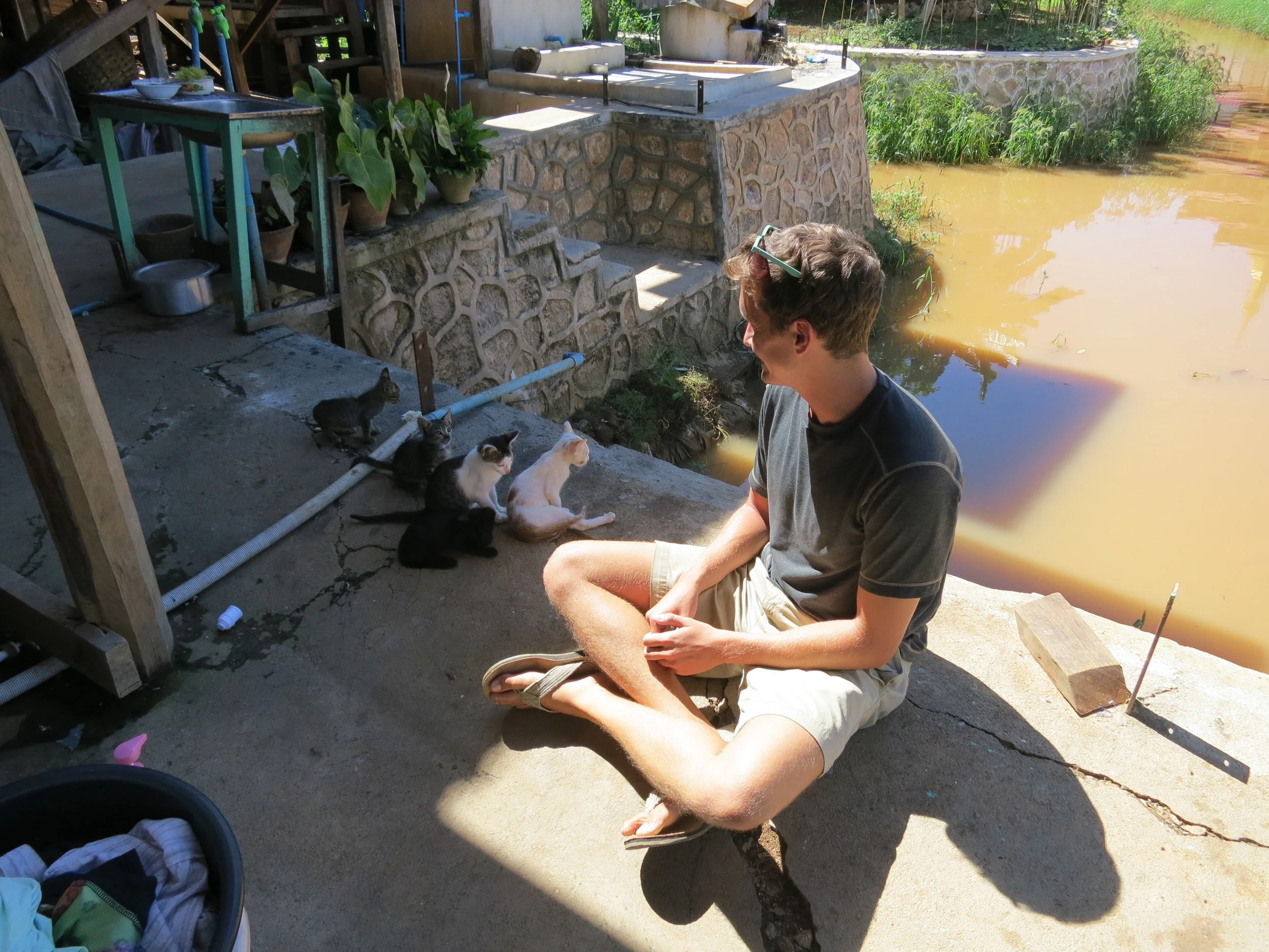 Apply Texas Transfer Essay E: "Issue of importance"