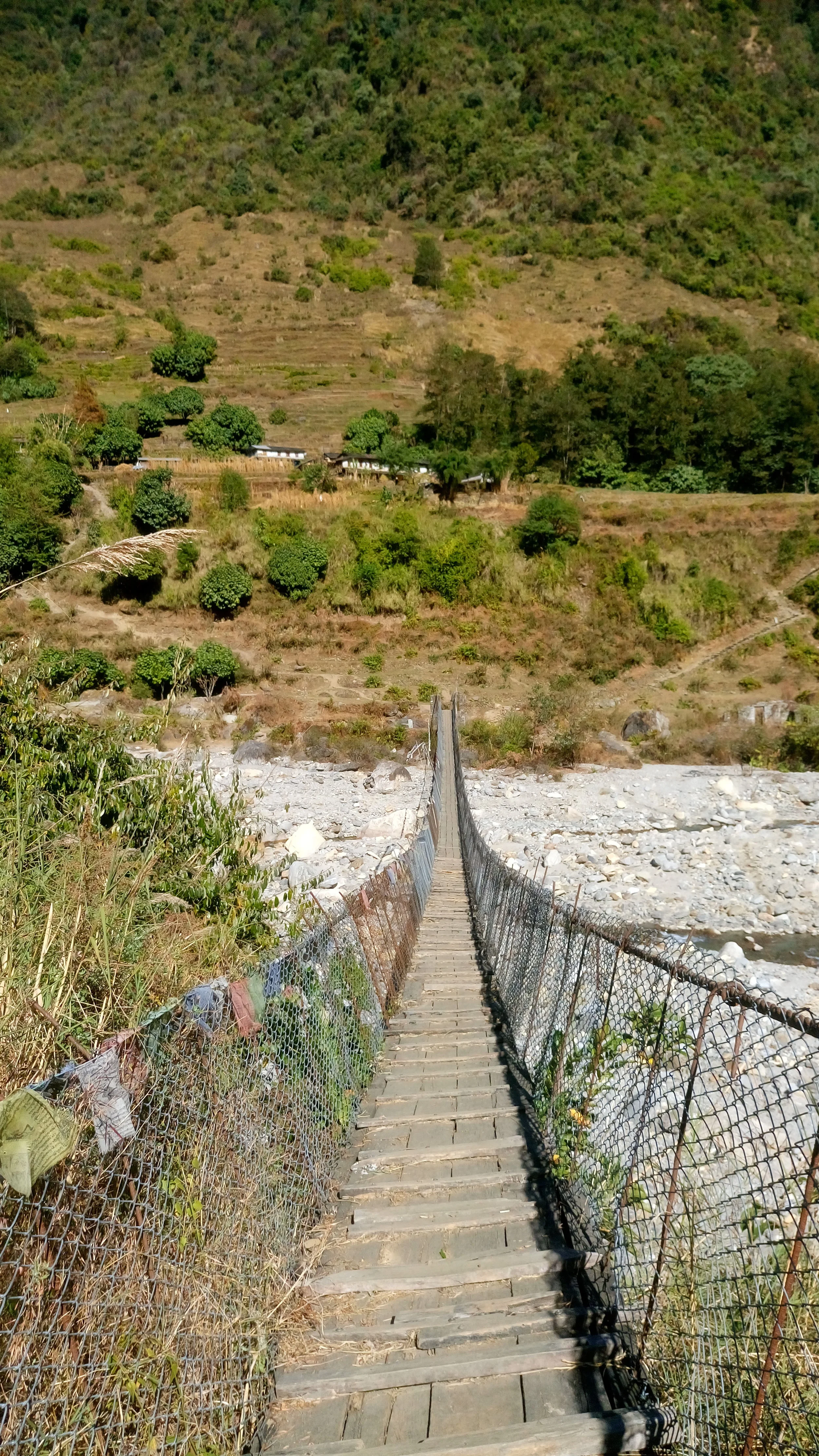 UT-Austin Now Accepts the Coalition Application