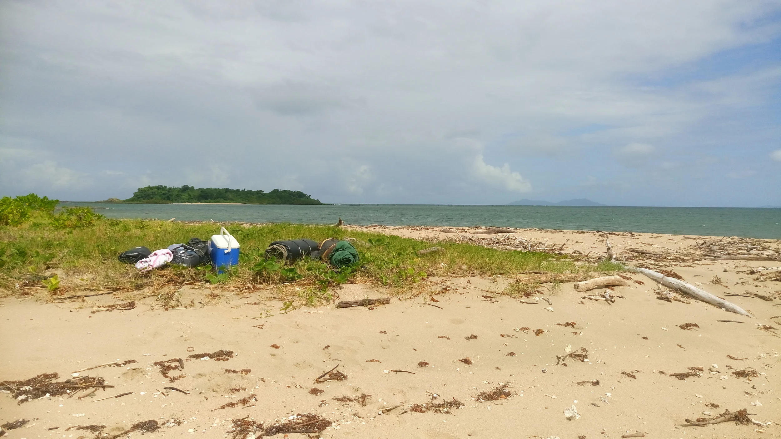 UT-Austin Appeals Fall 2019