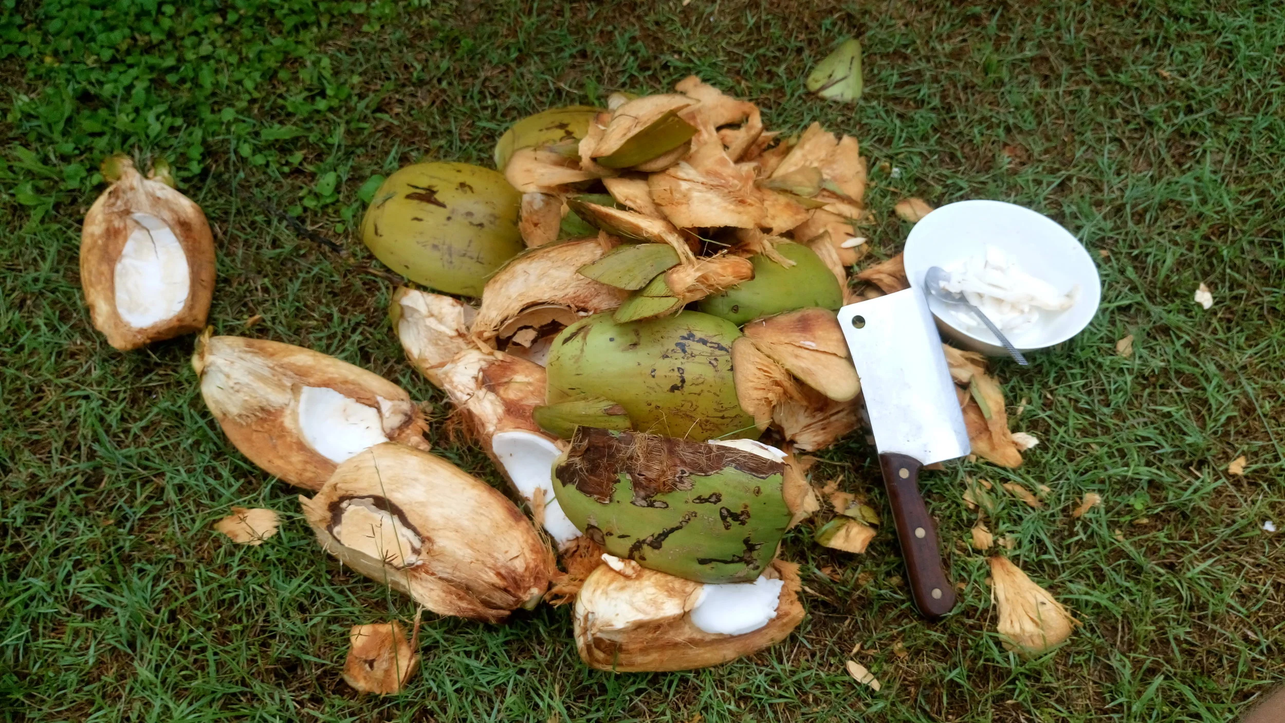 Recommended UT-Austin Majors Rank and Test Score Minimums