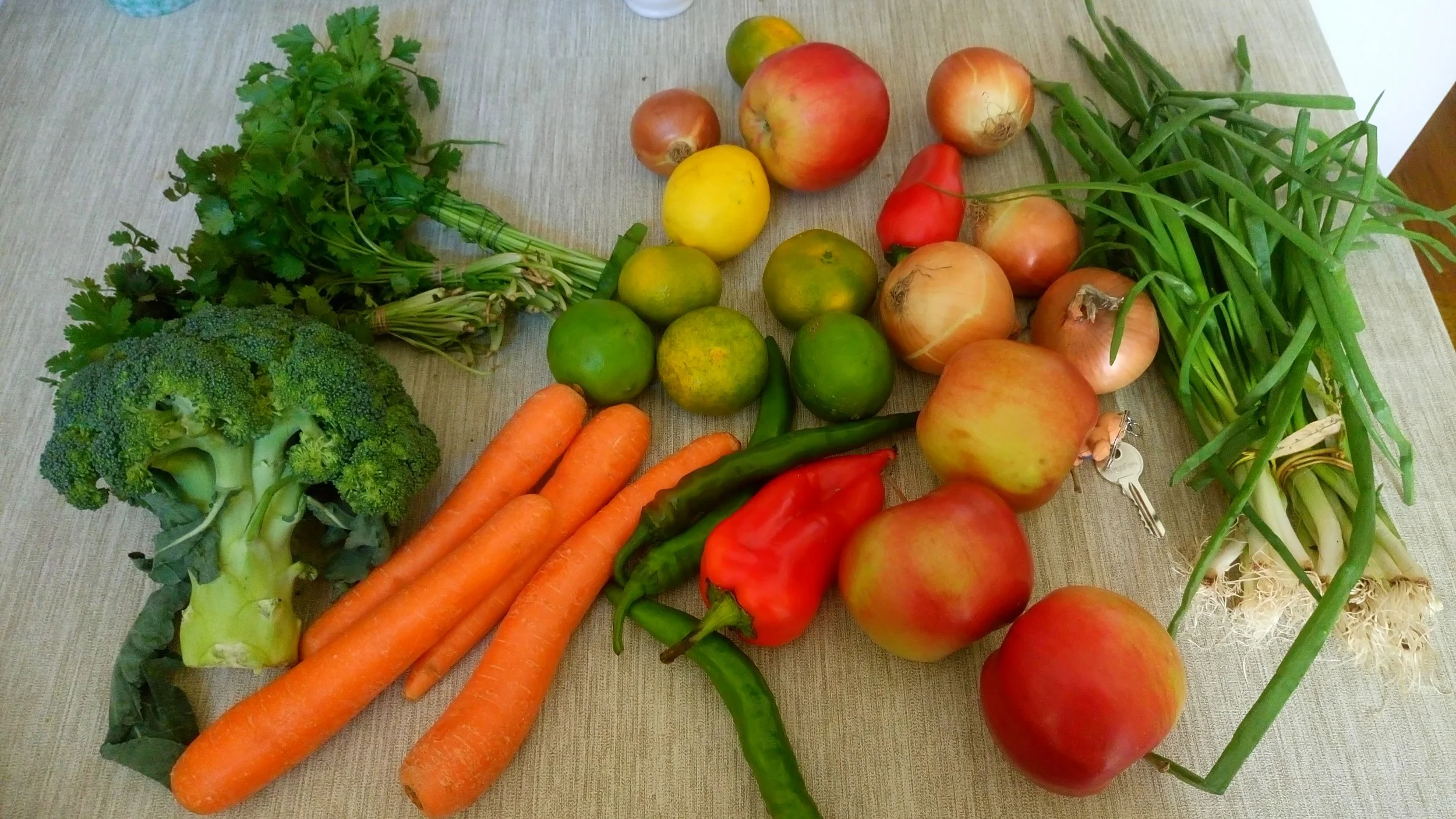 Help Answering UT's Diversity Short Answer