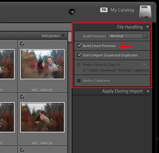 Creating smart previews in Lightroom — Lourensia Burger Fine Art