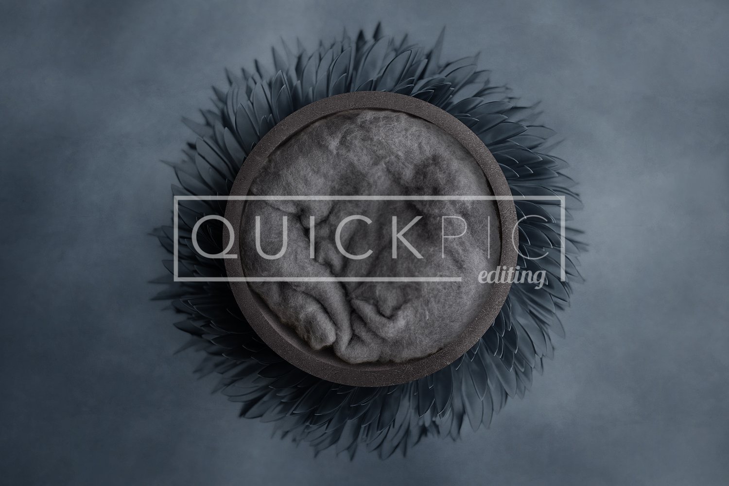 Newborn digital backdrop blue and grey — Quickpic editing