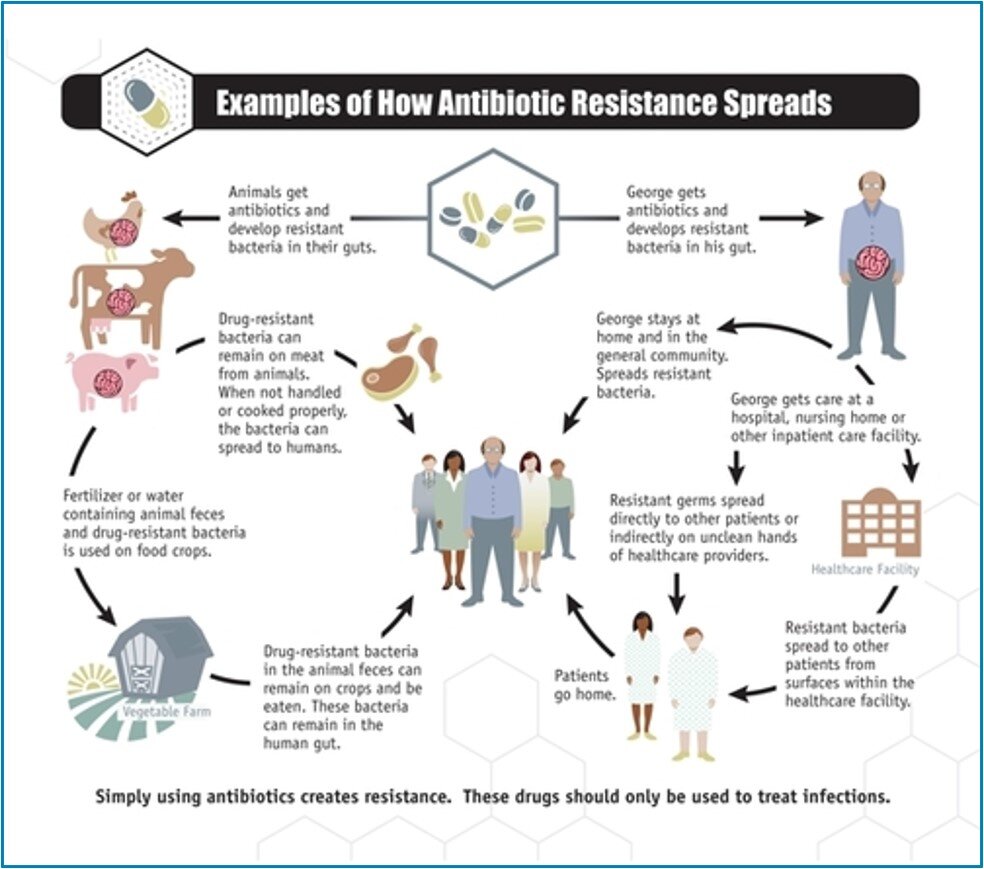 Science of Resistance — ALLIANCE FOR THE PRUDENT USE OF ANTIBIOTICS