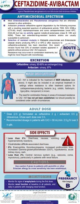 Ceftazidime Avibactam