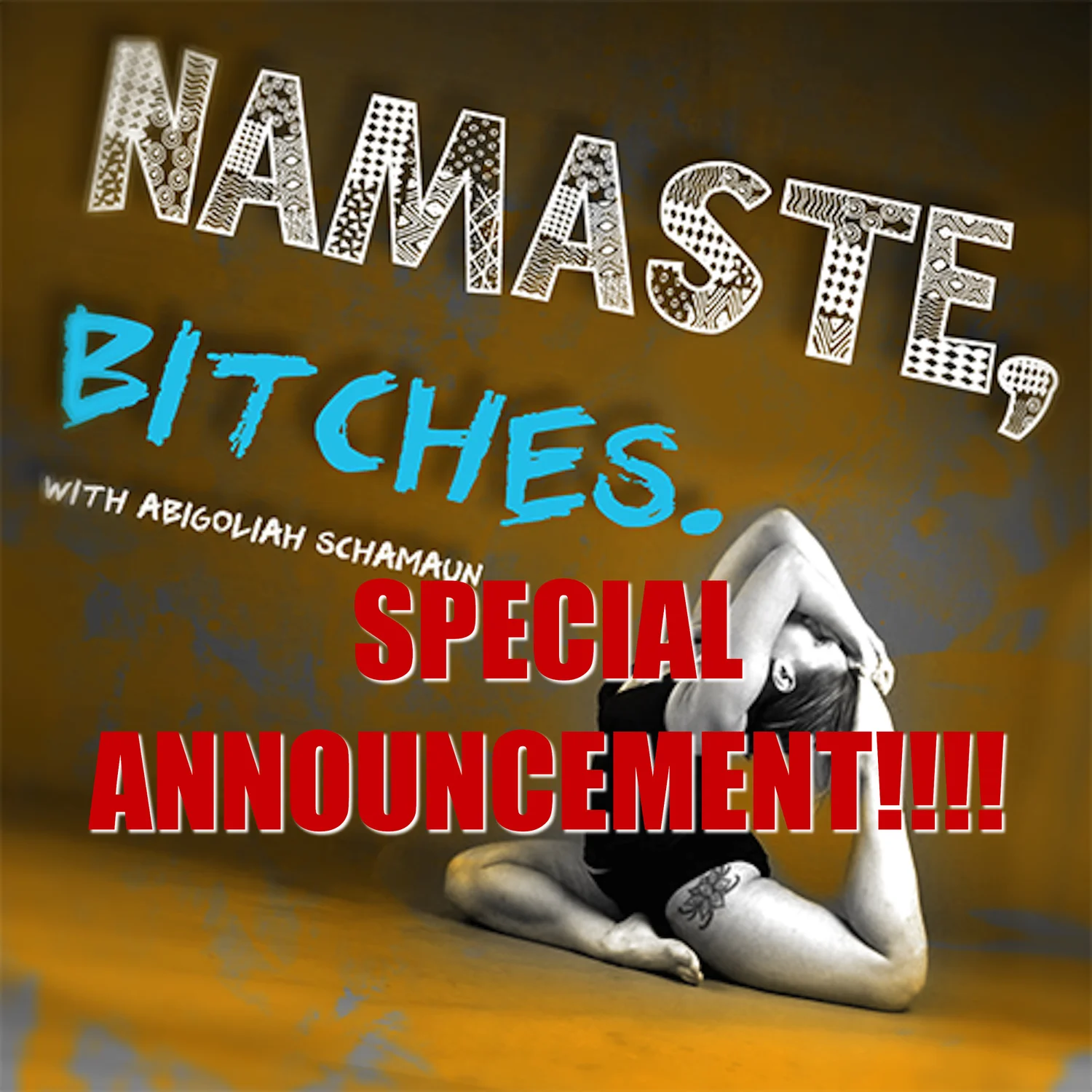 20.5 SPECIAL ANNOUNCEMENT!!! episode artwork