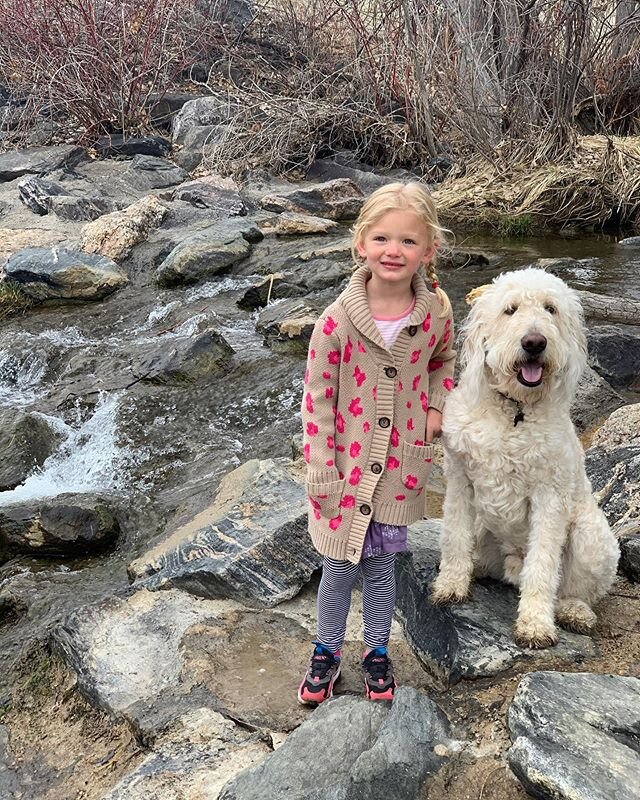 Scenes from quarantine. We&rsquo;ve hit two weeks here folks. Thanks to their daily walks, Lyla and daddy are doing great. This is a lot of family/at home time and it&rsquo;s hard. #itsgettingchippy #stayhome #covid_19 #youdownwithlmb