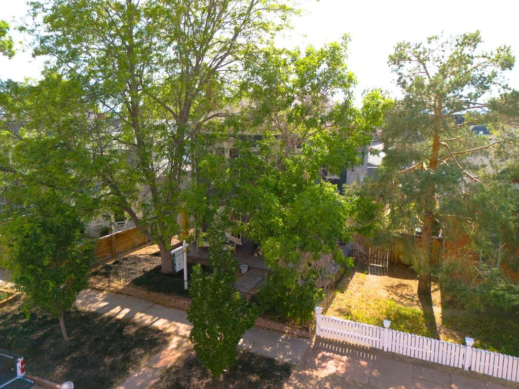 Drone (1).jpg