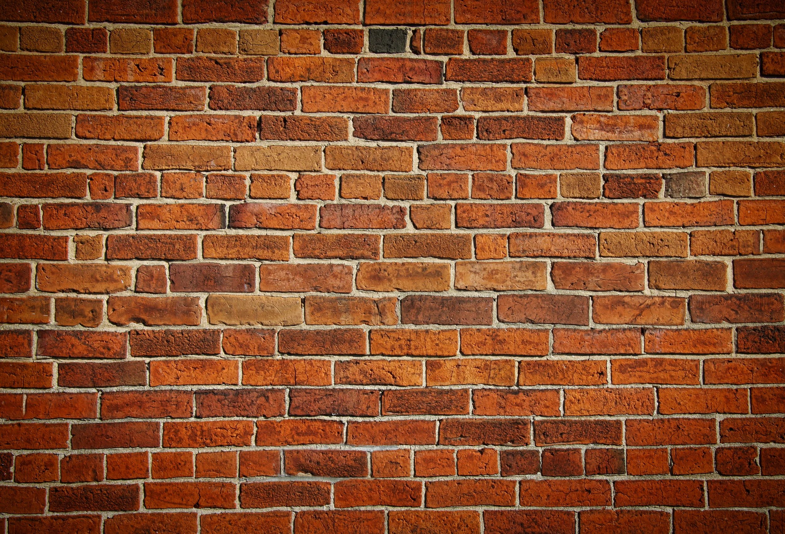 shutterstock_63572980.jpg