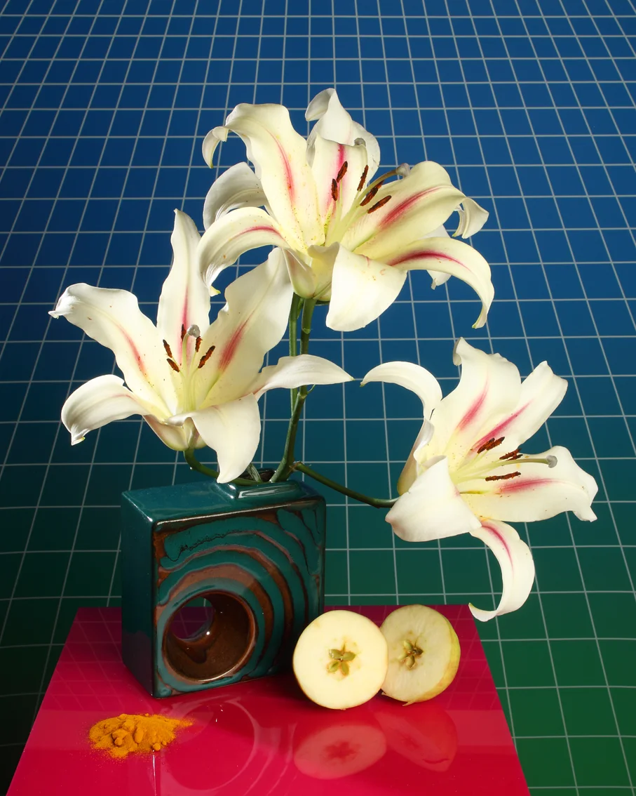 Starburst Lily
