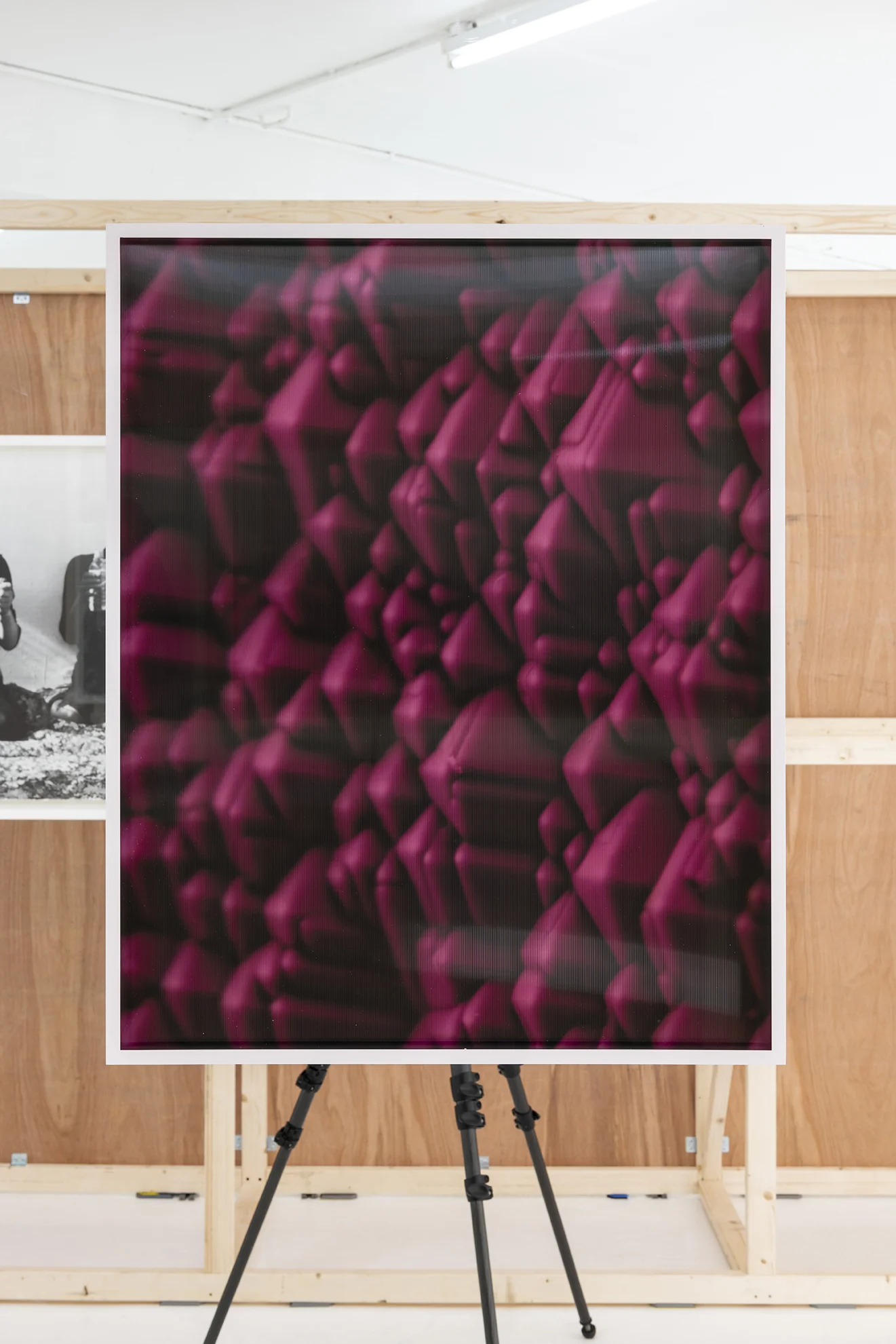 Silicon Valleys x2500 (false colour pink). Hung on mirror as part of Light, Observed.