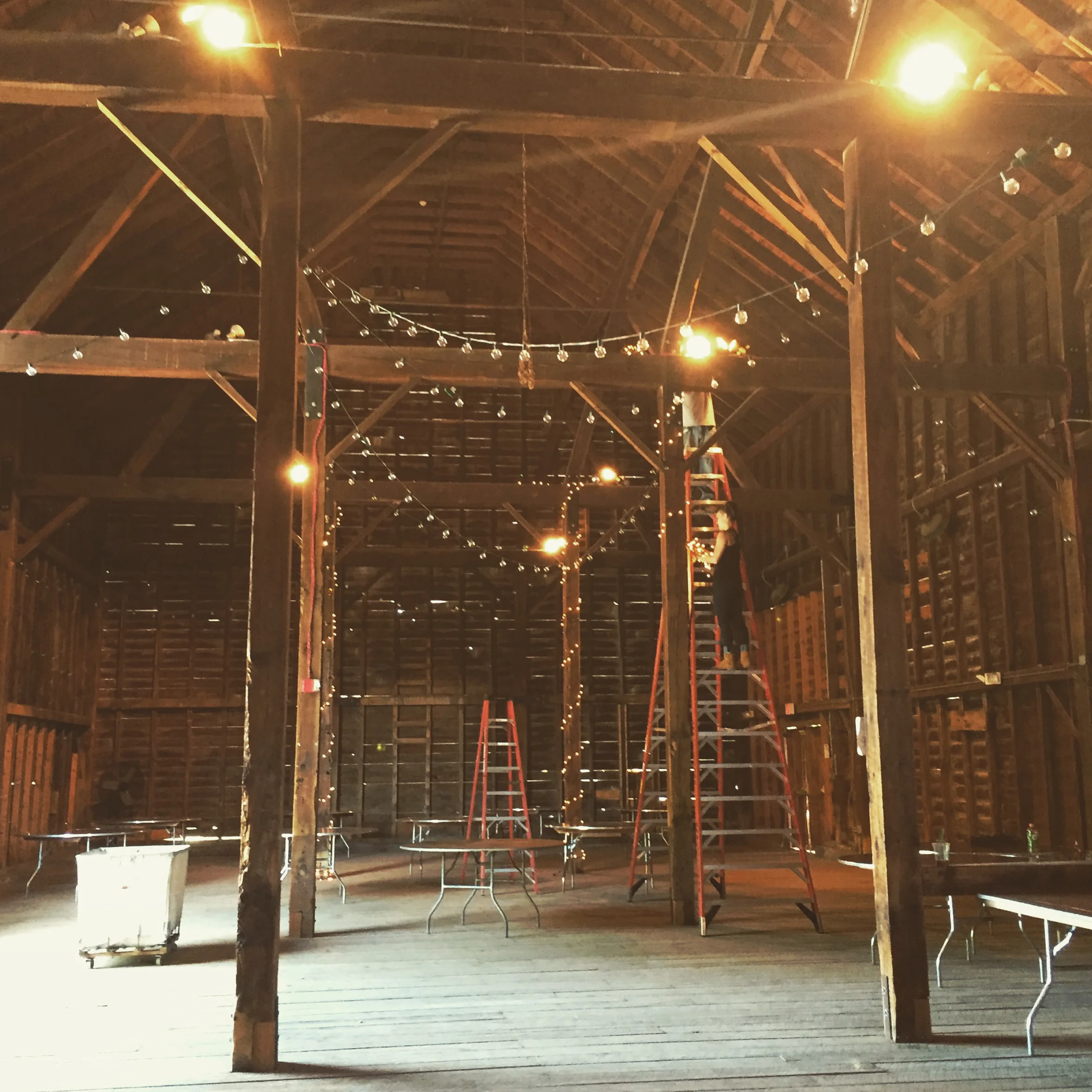 albany barn wedding