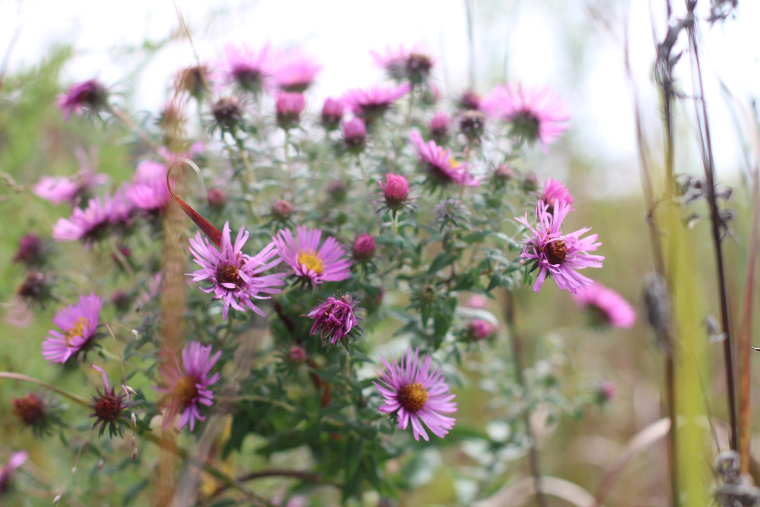 5 THINGS TO INCREASE YOUR PRODUCTIVITY 