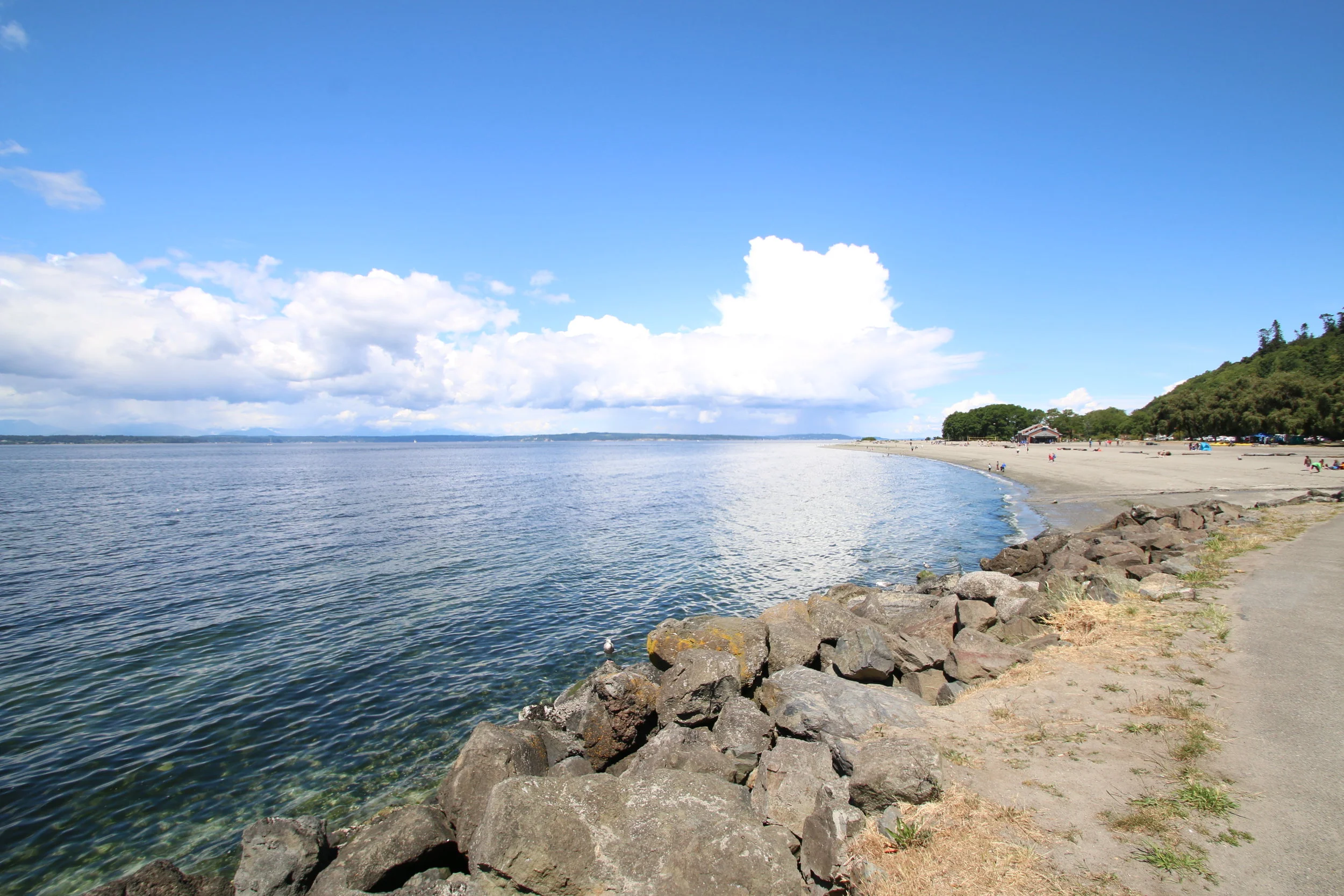 BEFORE THE SUMMER ENDS