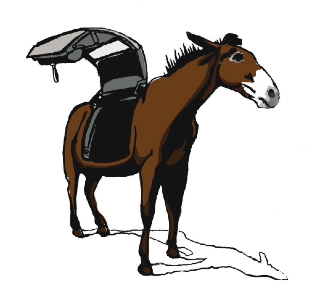 mule.png