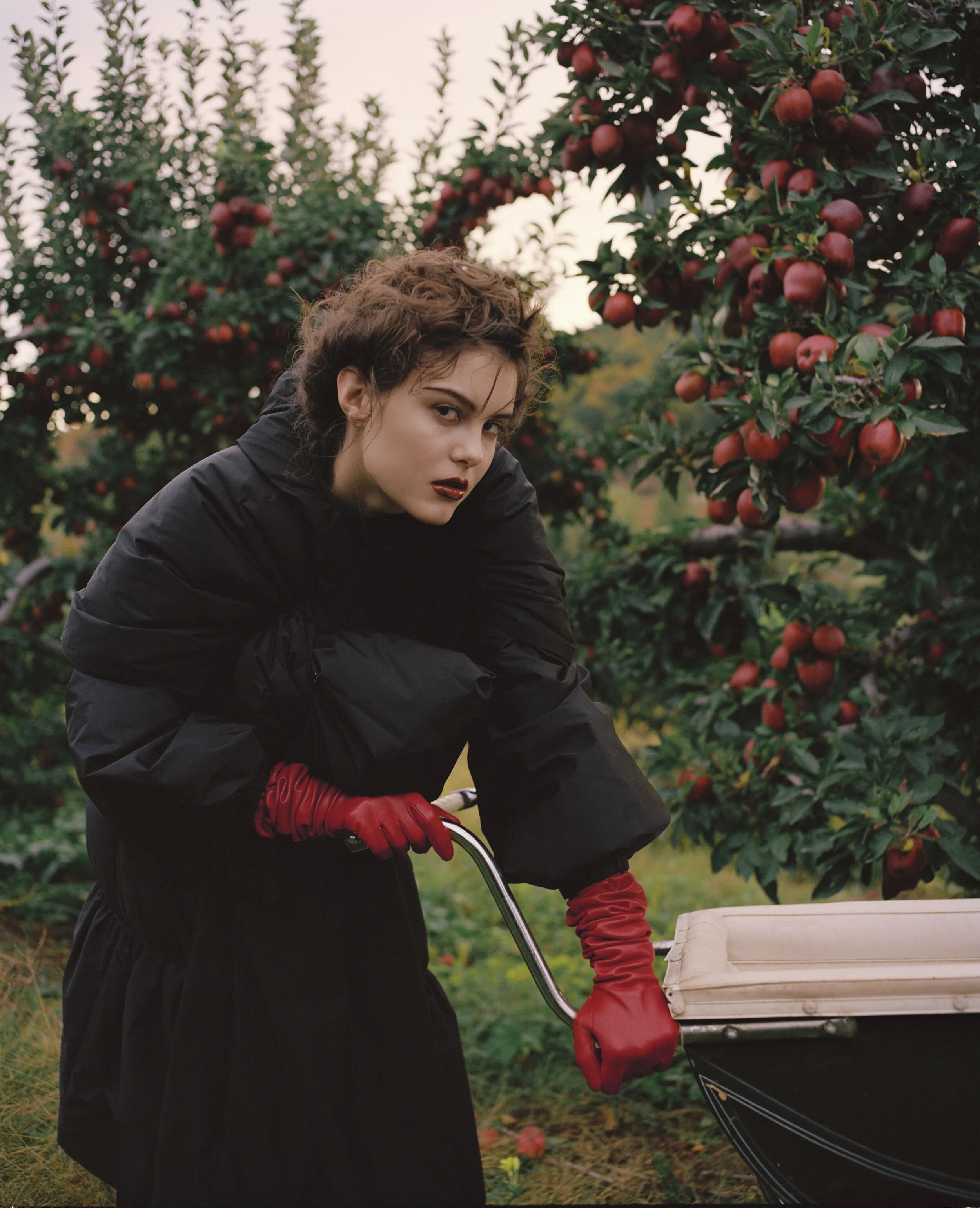 20191012_JS_BAD_APPLE_SHOT_4_0037 1.jpg