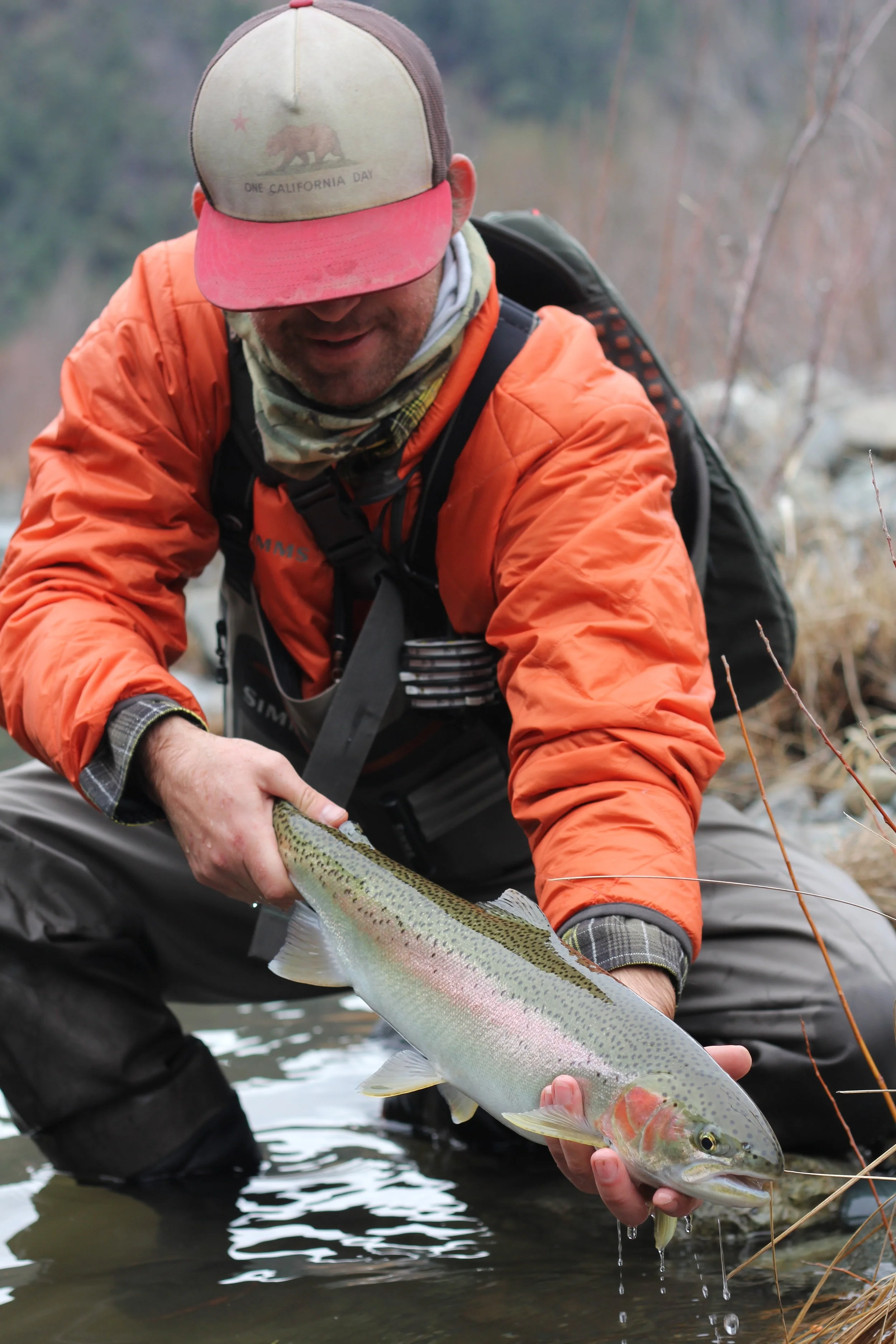 You will remember every fish that you connect with on the swing. This perfect Trinity River steelhead chased down a "Brother In Law."