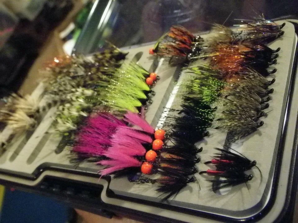 Morgan Thalken ties mean flies for swinging. A mixed box of sizes and colors. Potential options for trout or steelhead. 