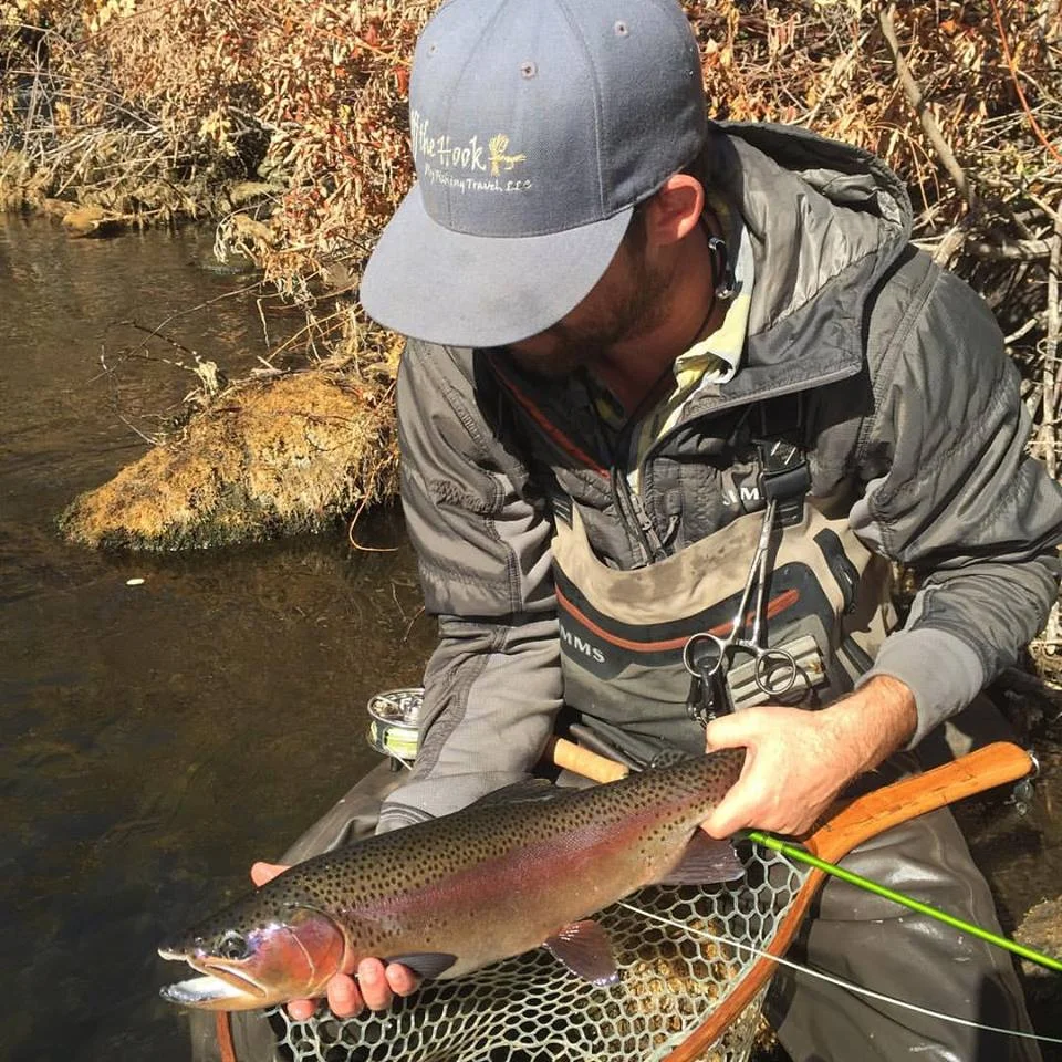 Mega rainbows swim around in Putah Creek. They are not easily fooled. Learn how to be a technical angler and you will be rewarded here. 