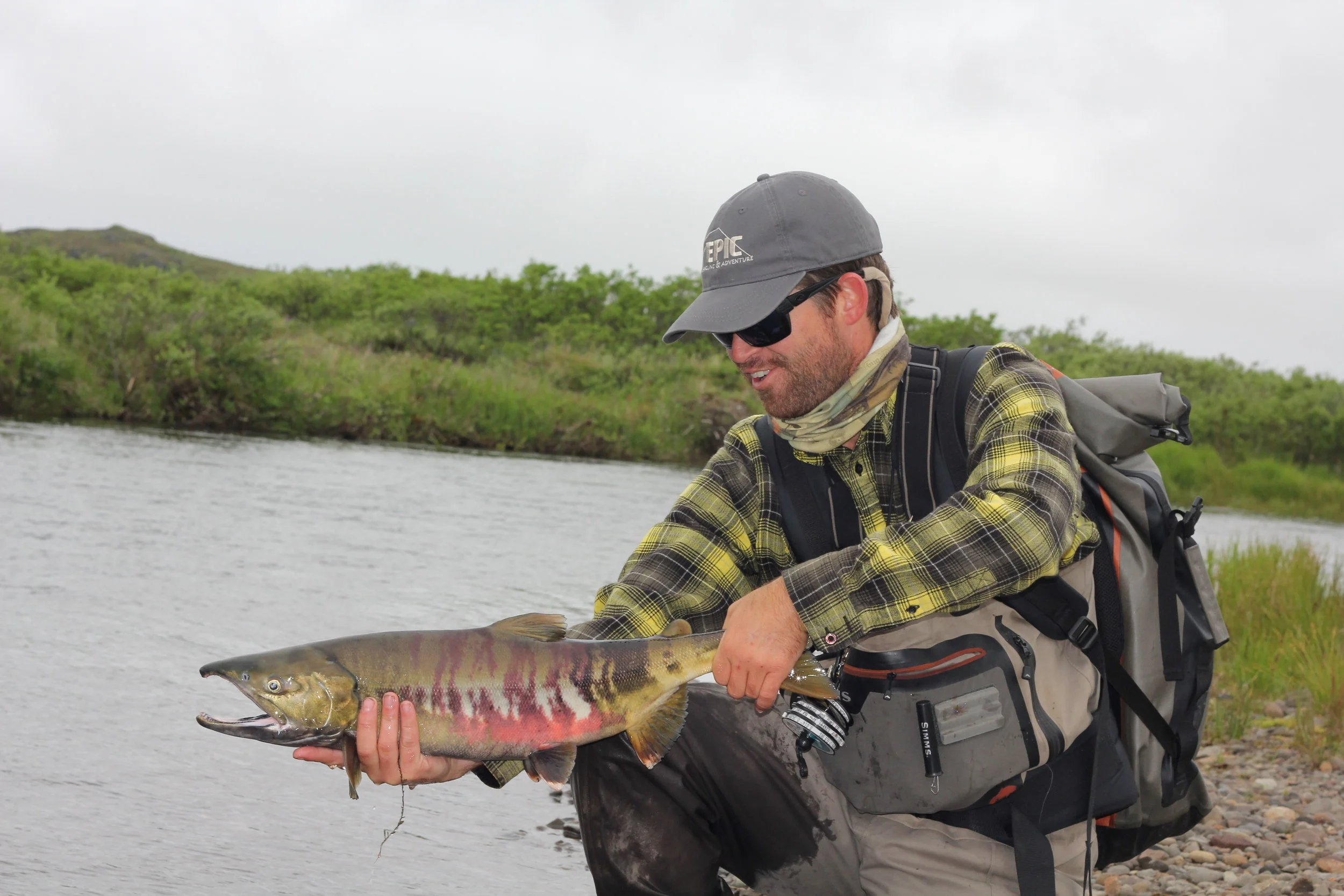 Chum Salmon. Alaska's most underrated rod breaking fish.