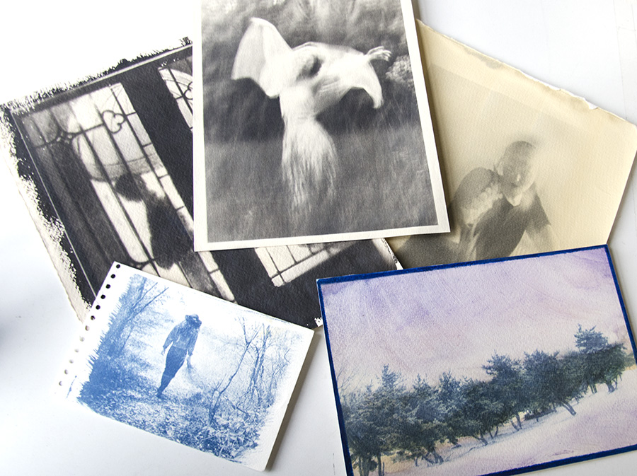 A few different types of Alternative Photo Prints: Bottom Prints are cyanotypes. Top from Left to Right: Palladium, Platinum & Liquid Light